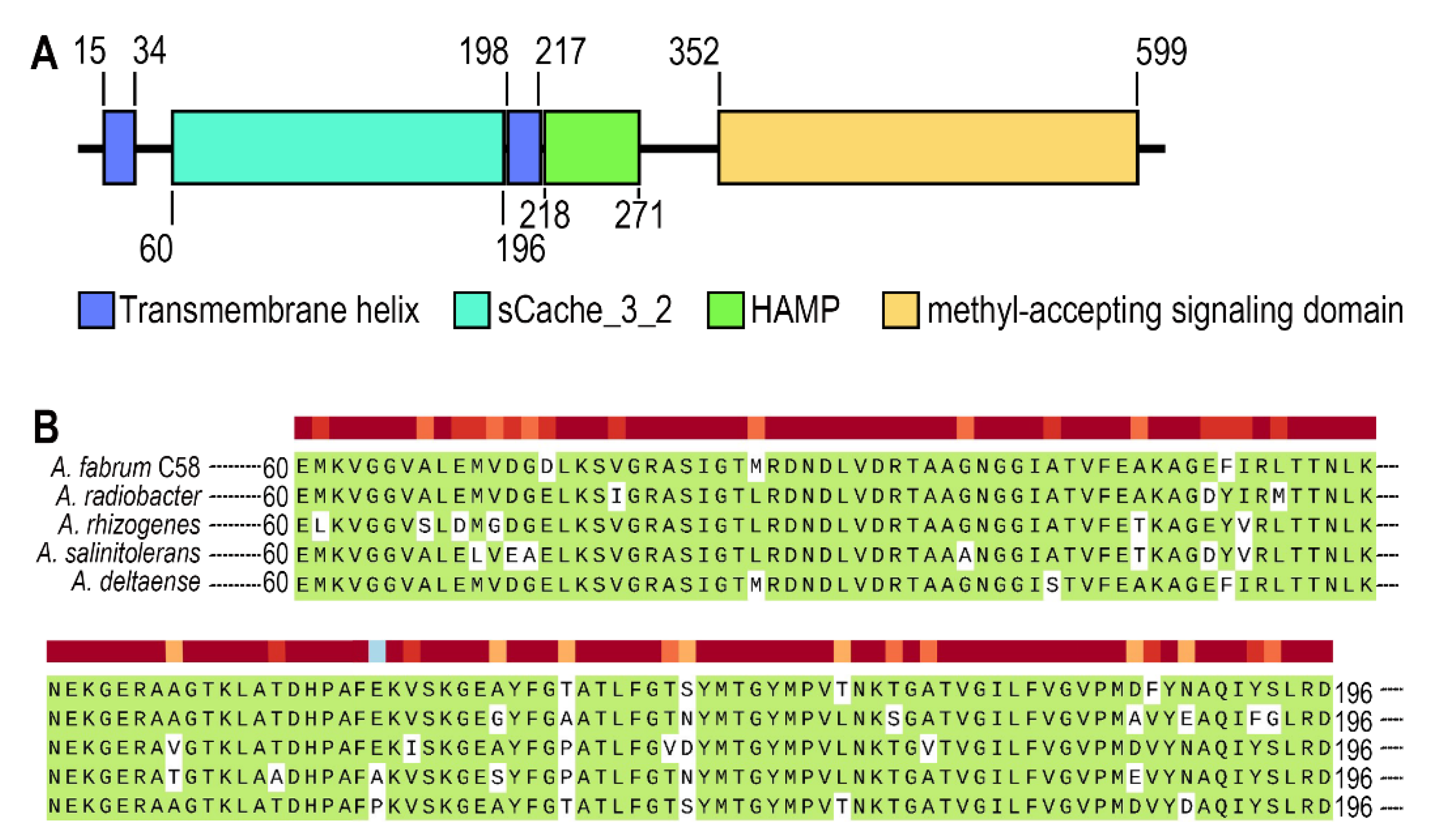 Biology 10 01345 g001 Biology 10 01345 g001