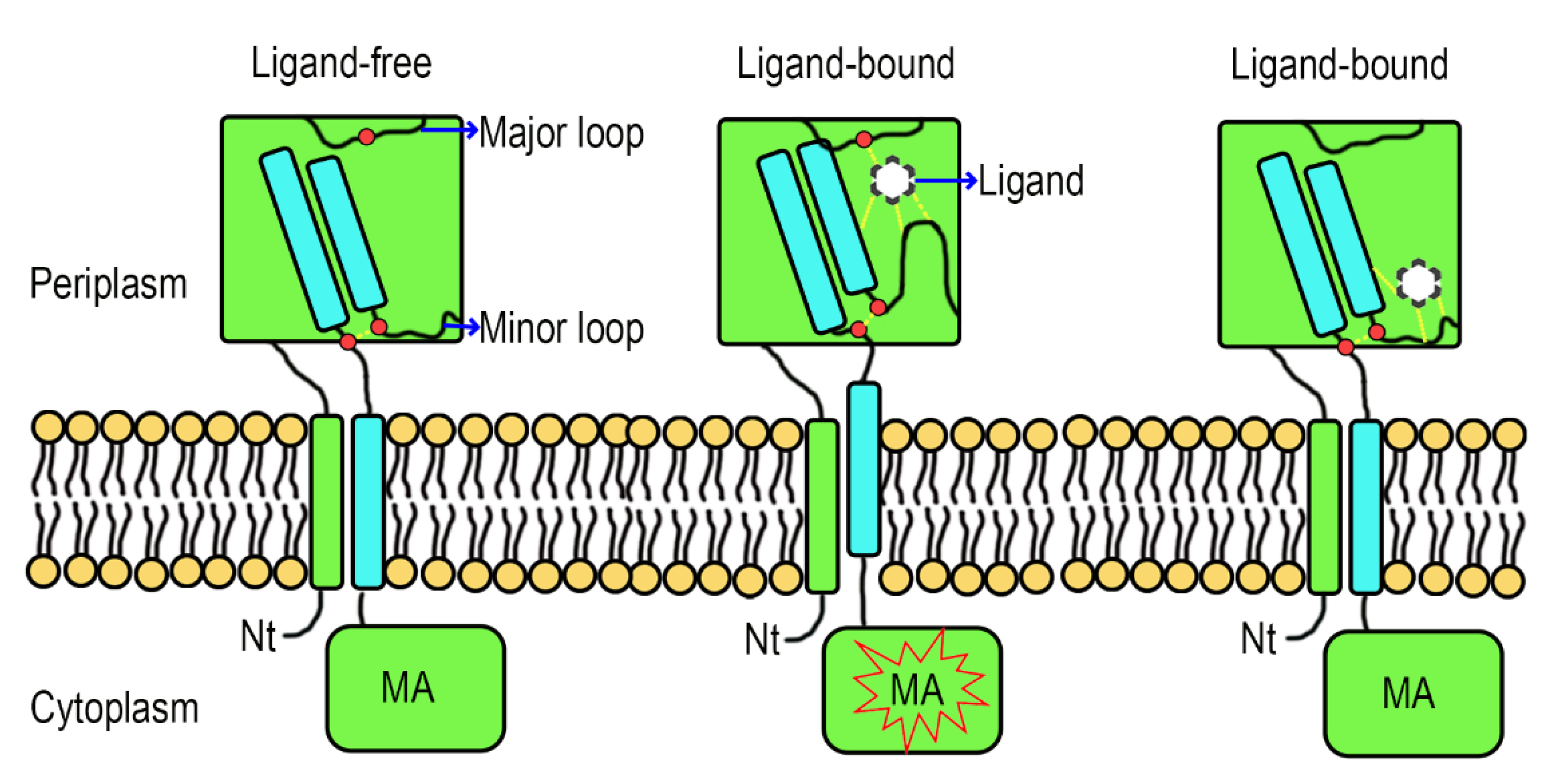Biology 10 01345 g008 Biology 10 01345 g008
