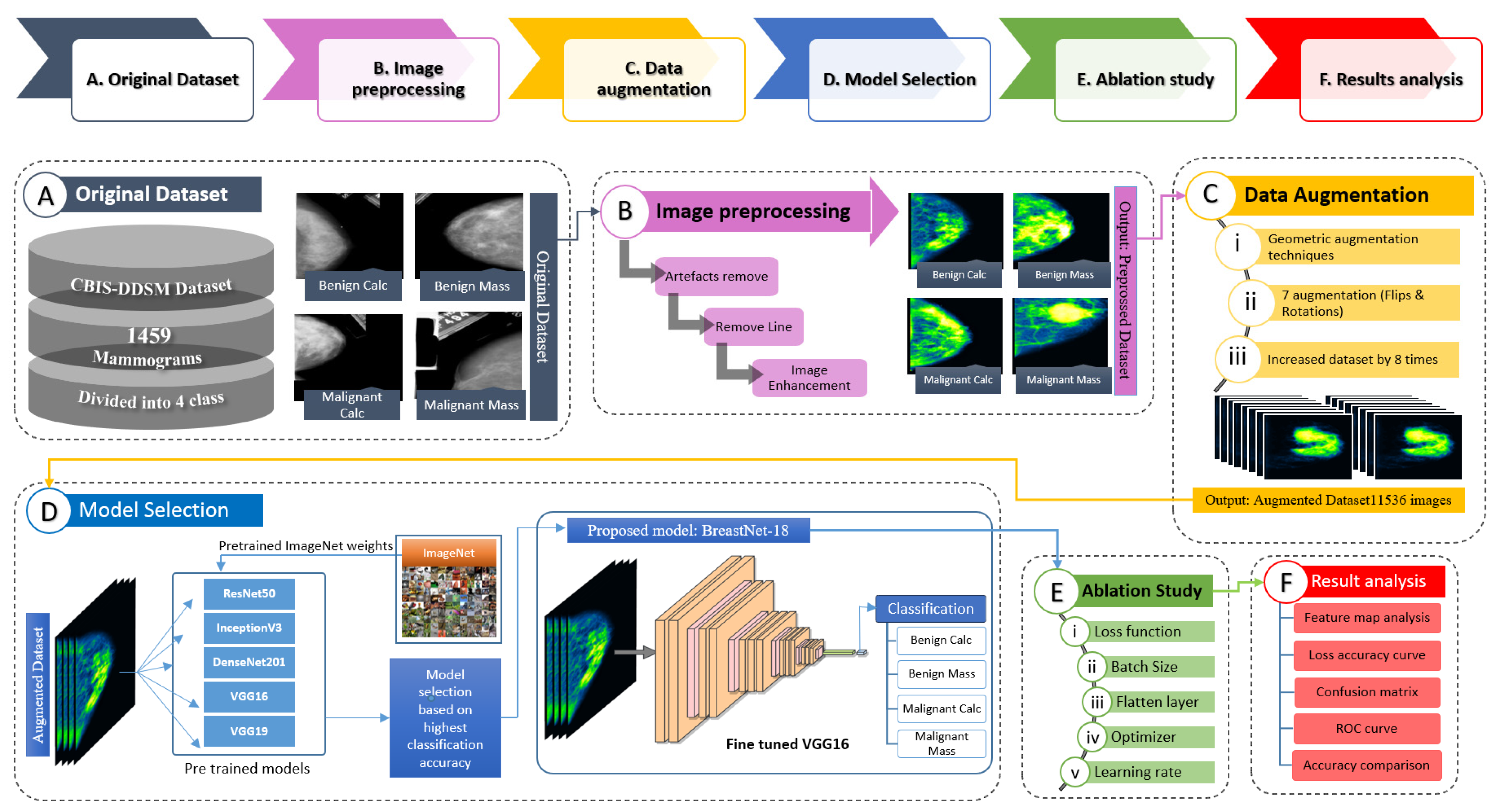 Biology 10 01347 g001