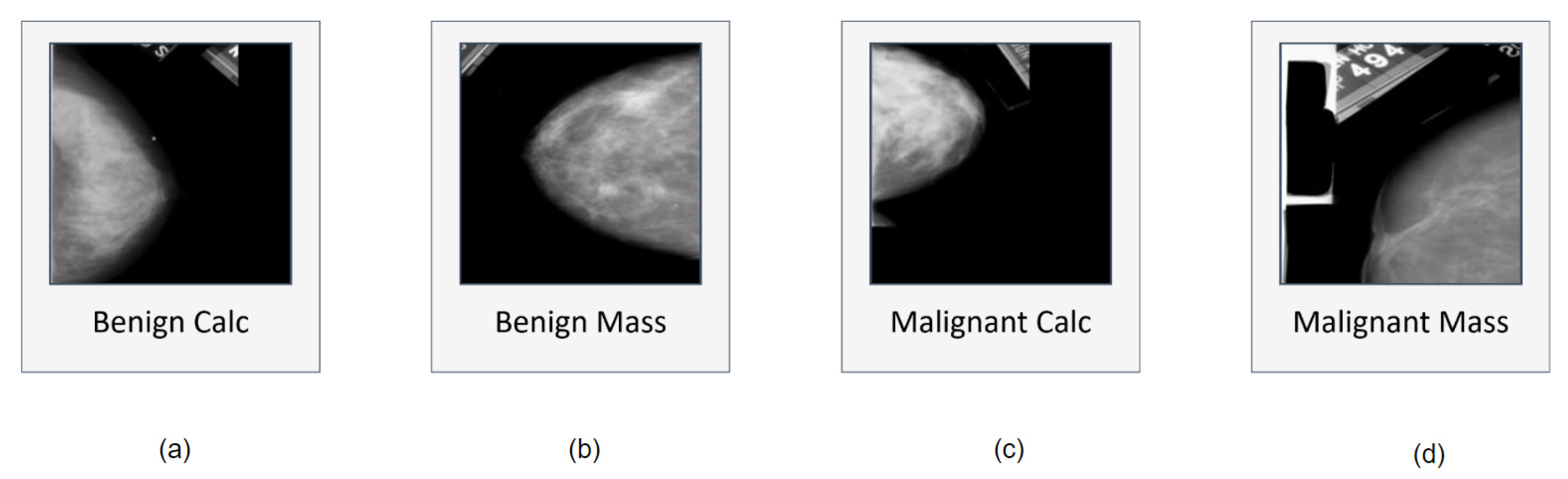 Biology 10 01347 g002