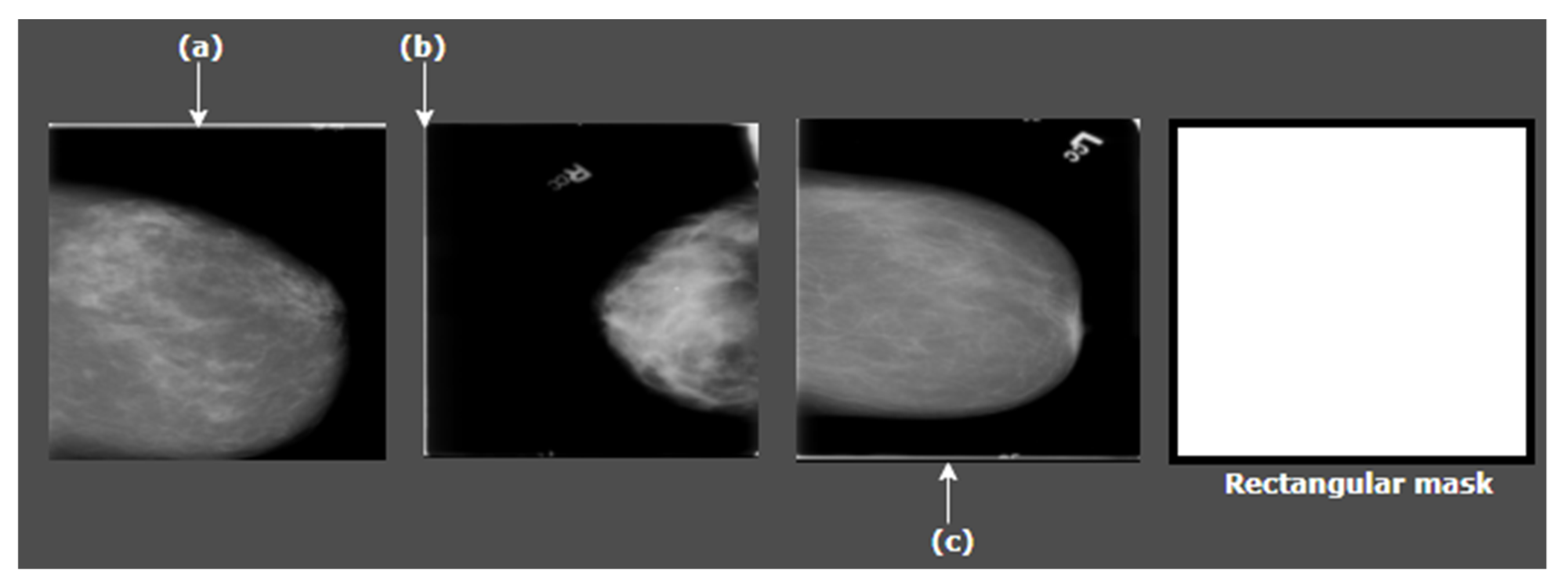 Biology 10 01347 g004