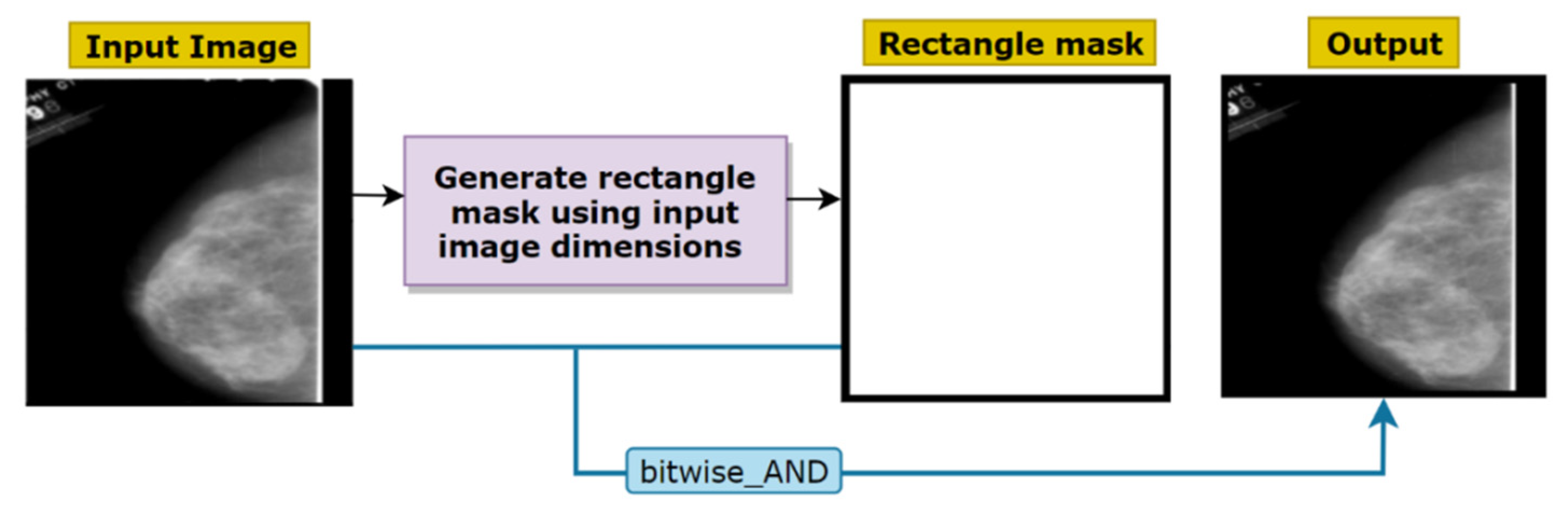 Biology 10 01347 g005