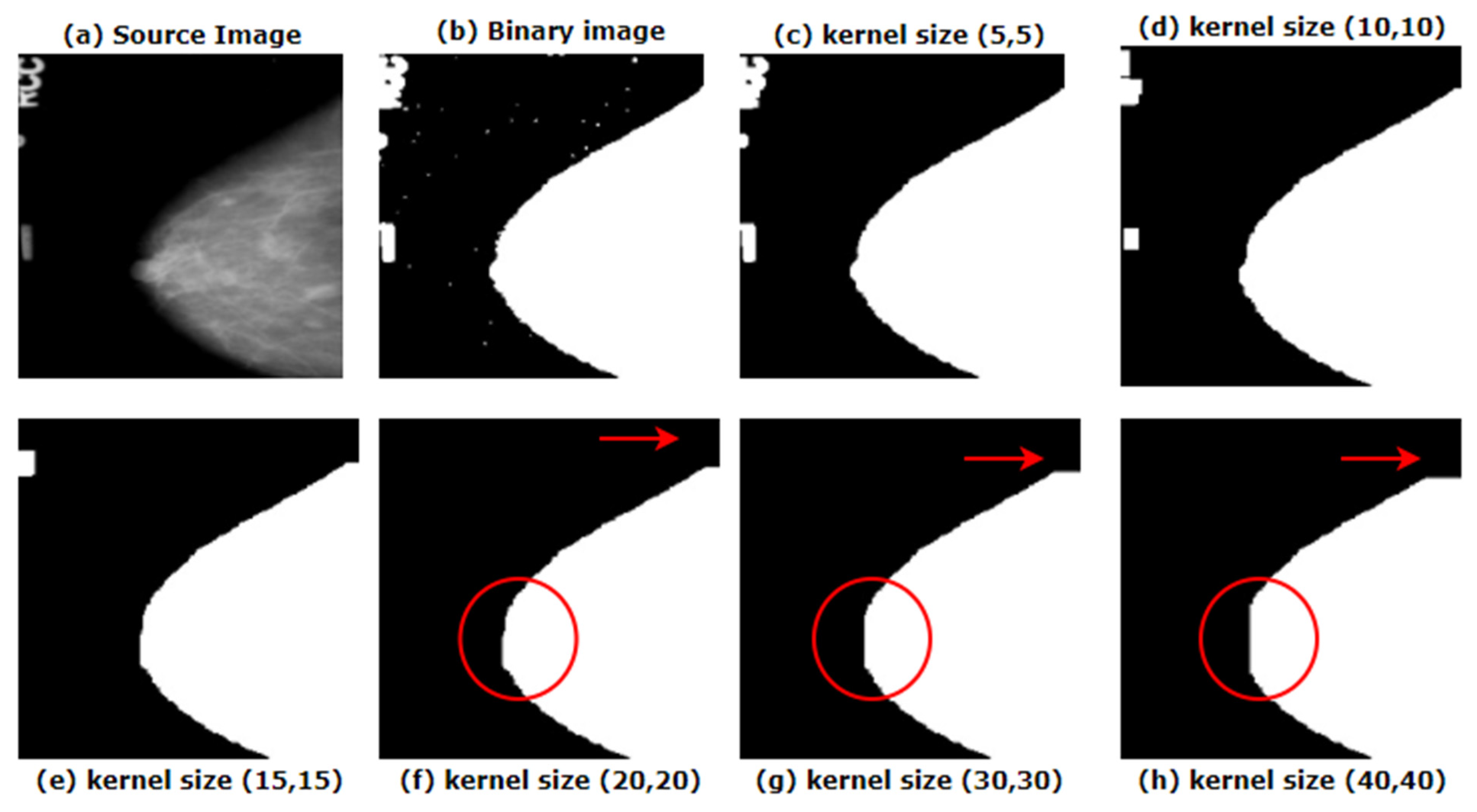 Biology 10 01347 g006