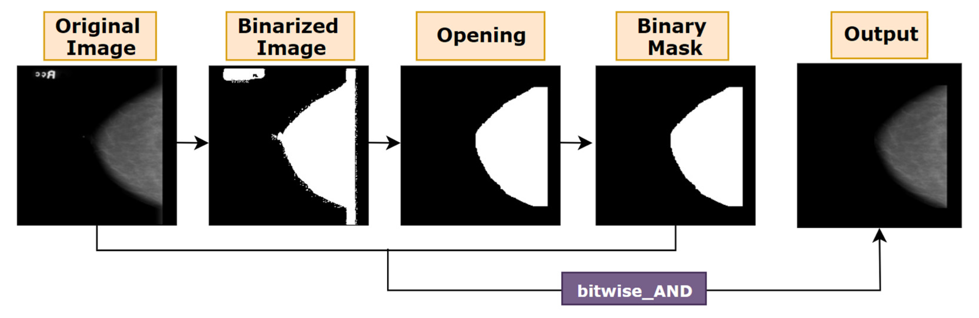 Biology 10 01347 g007