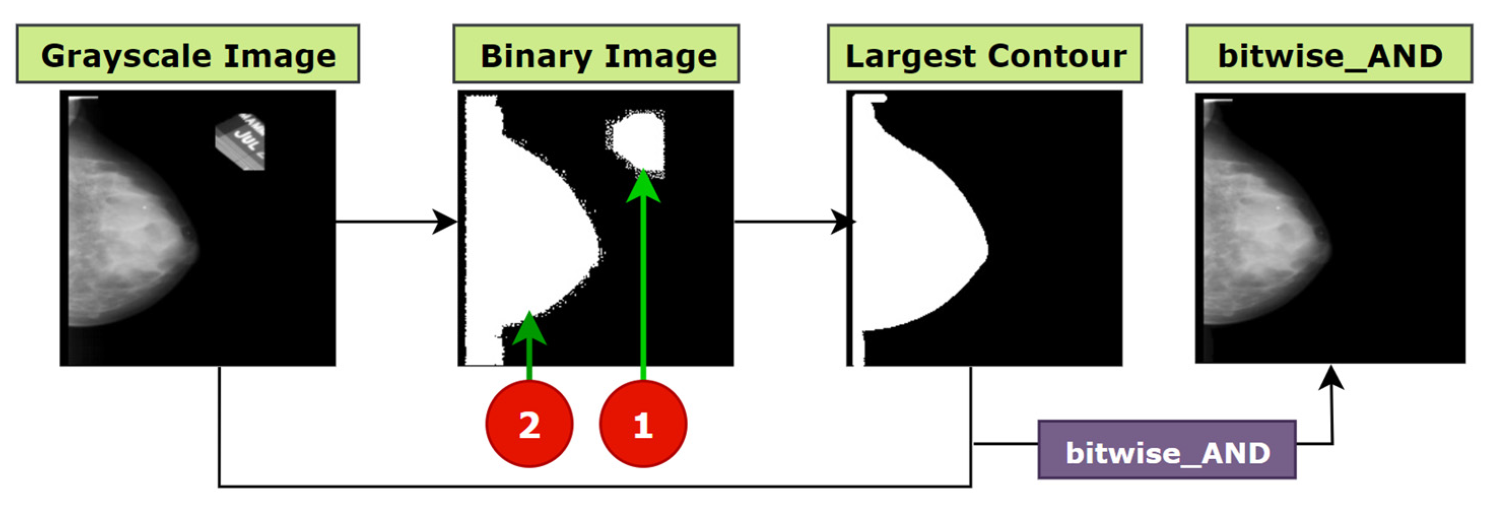 Biology 10 01347 g008