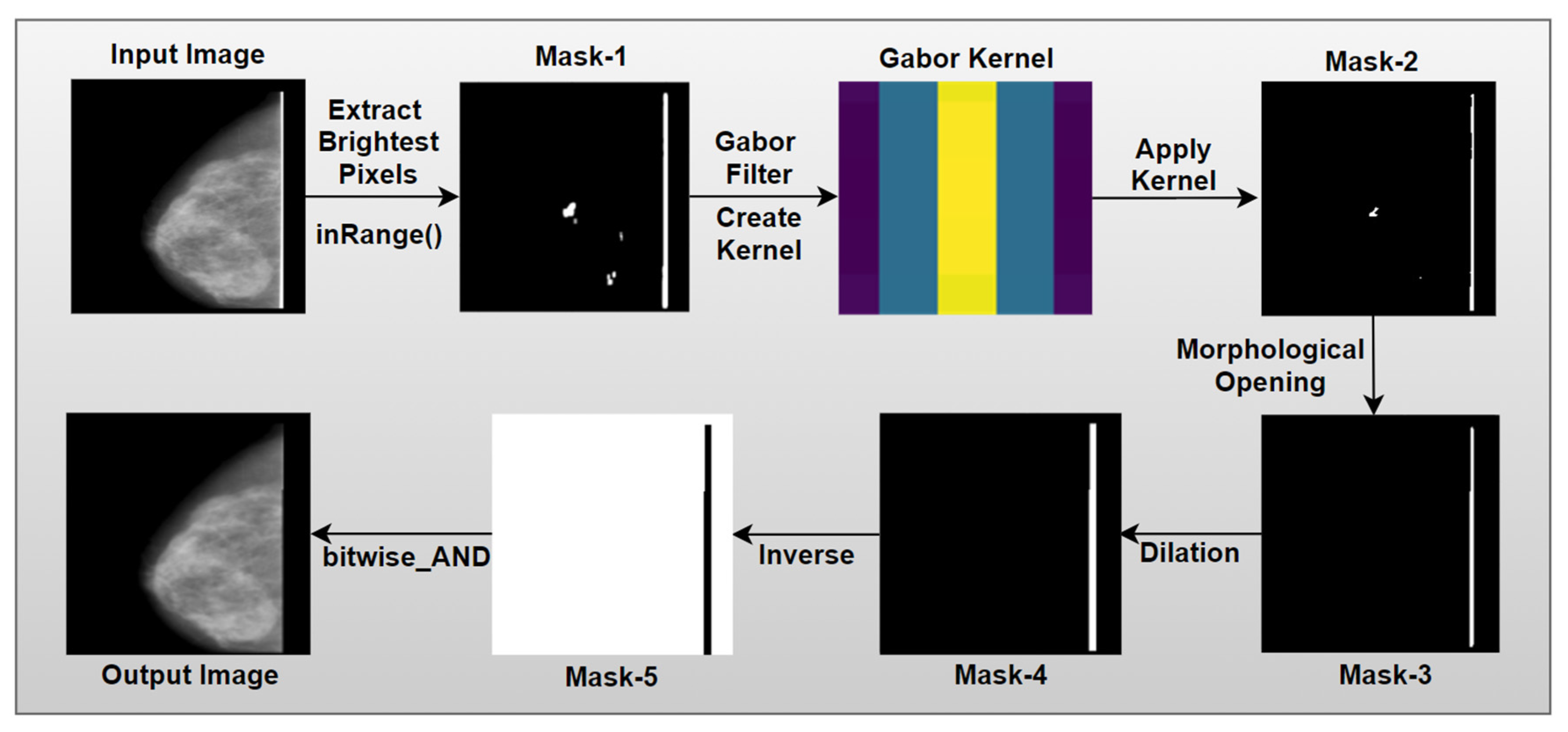 Biology 10 01347 g009