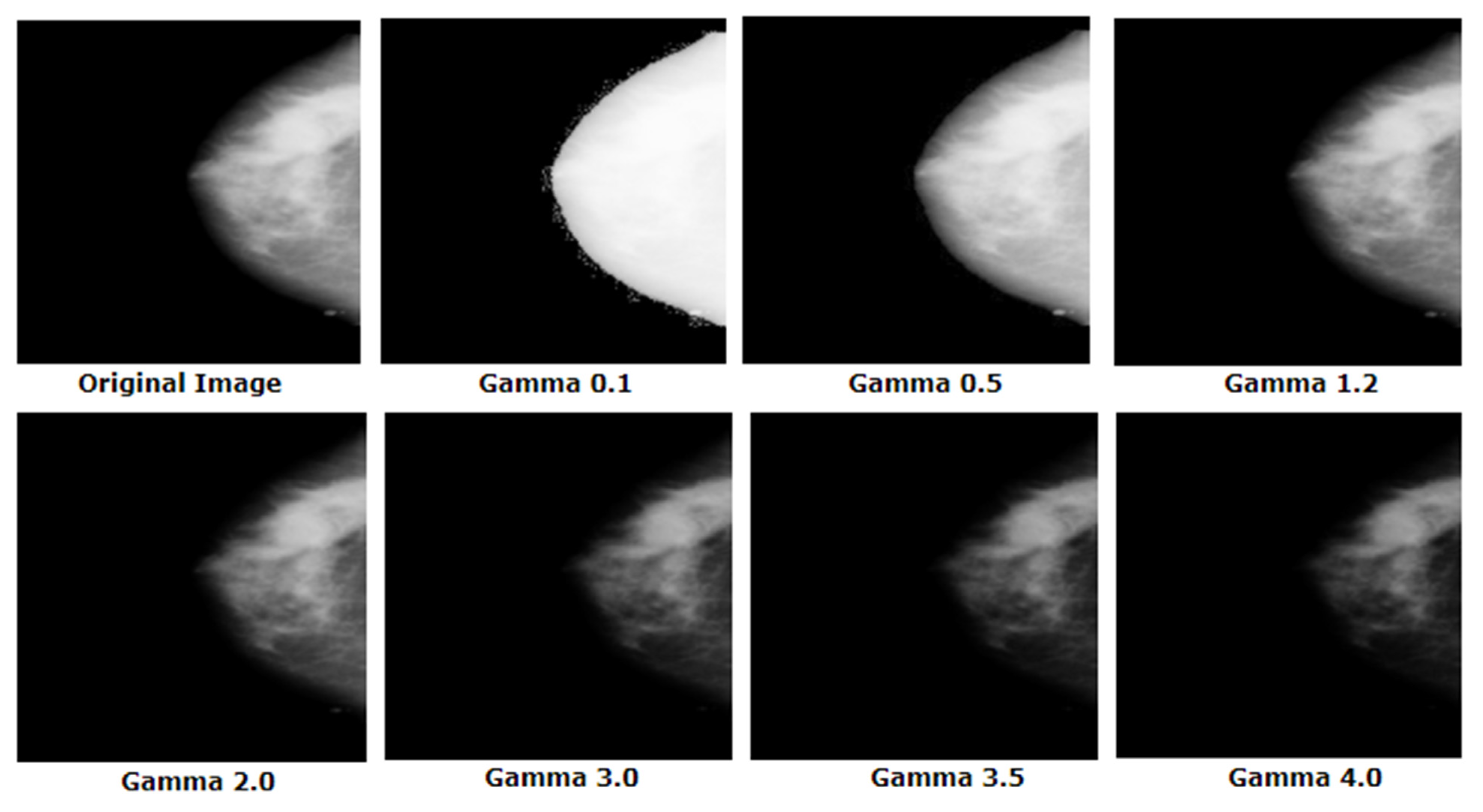 Biology 10 01347 g010
