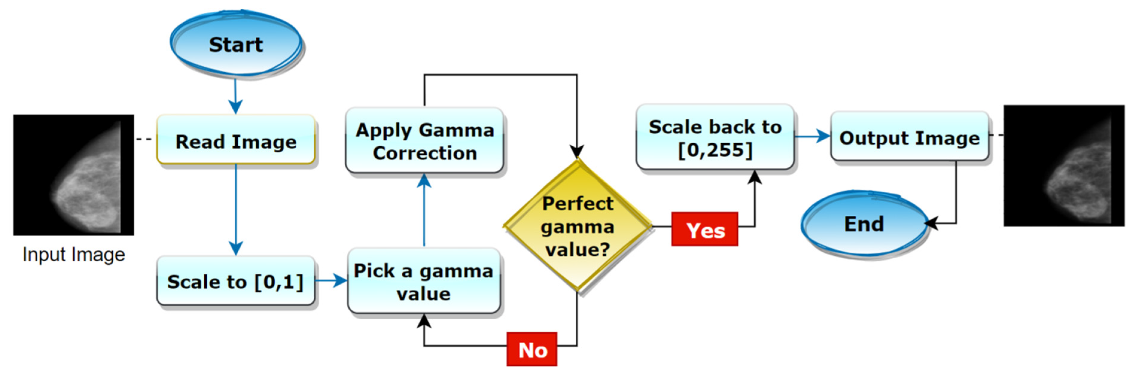 Biology 10 01347 g011