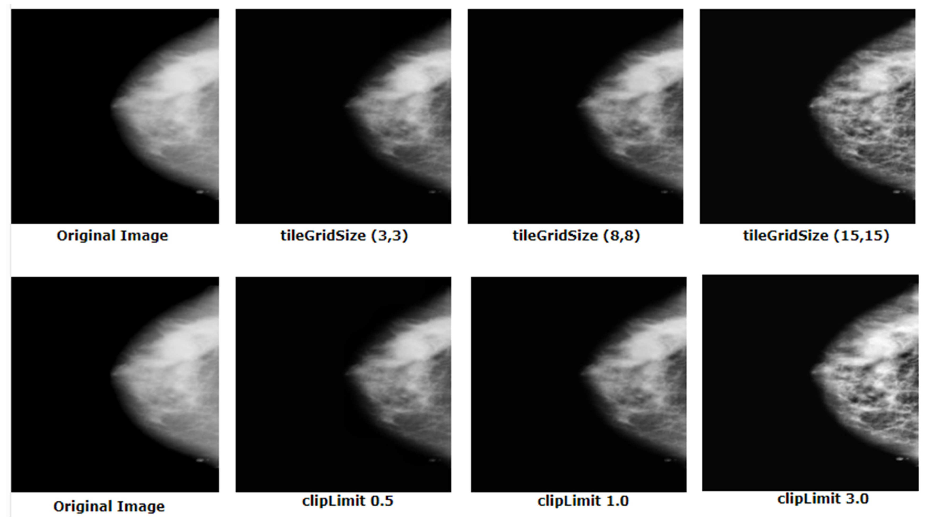 Biology 10 01347 g012