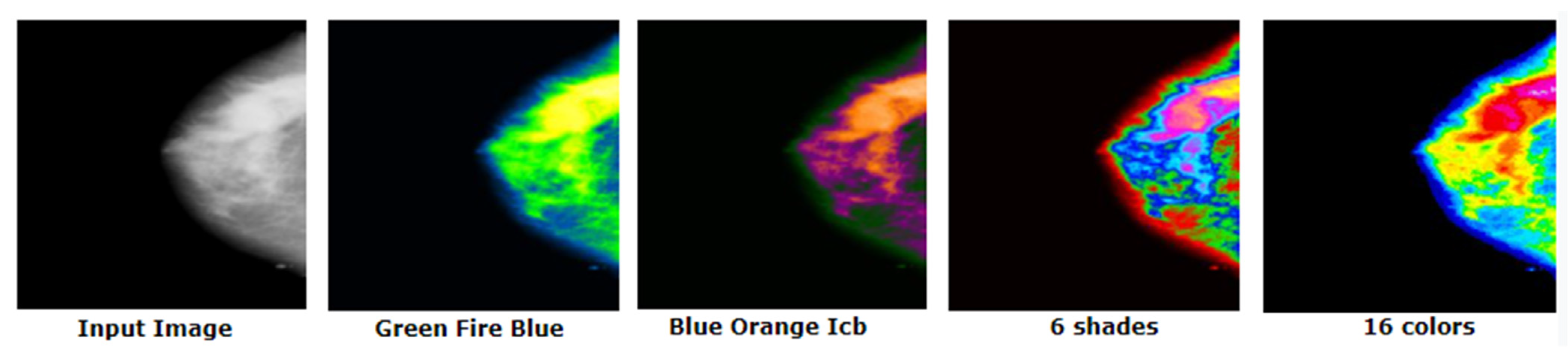 Biology 10 01347 g013