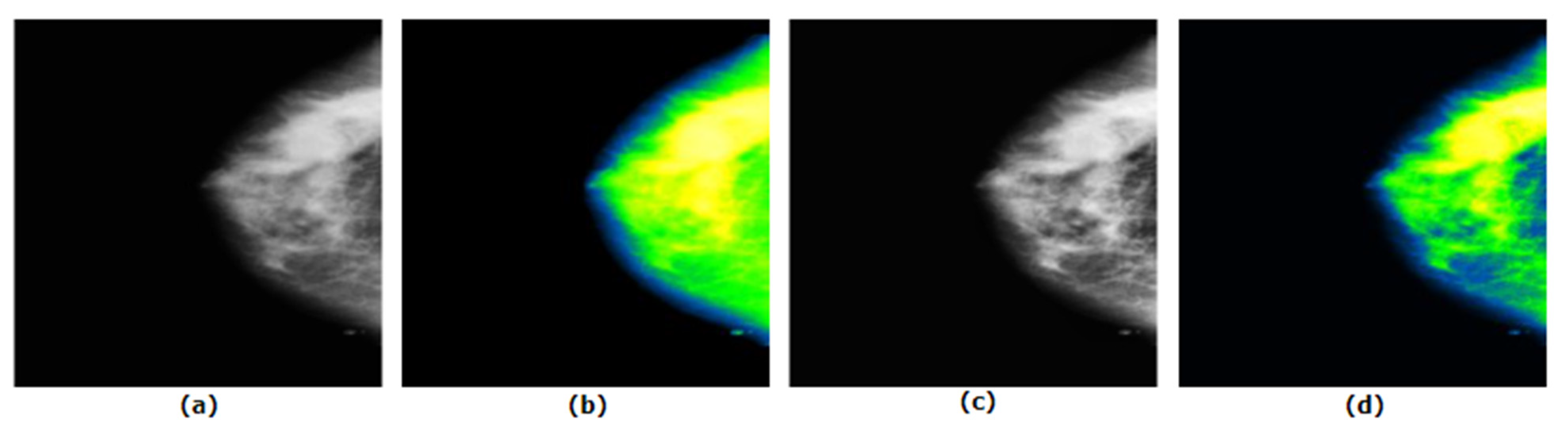 Biology 10 01347 g014