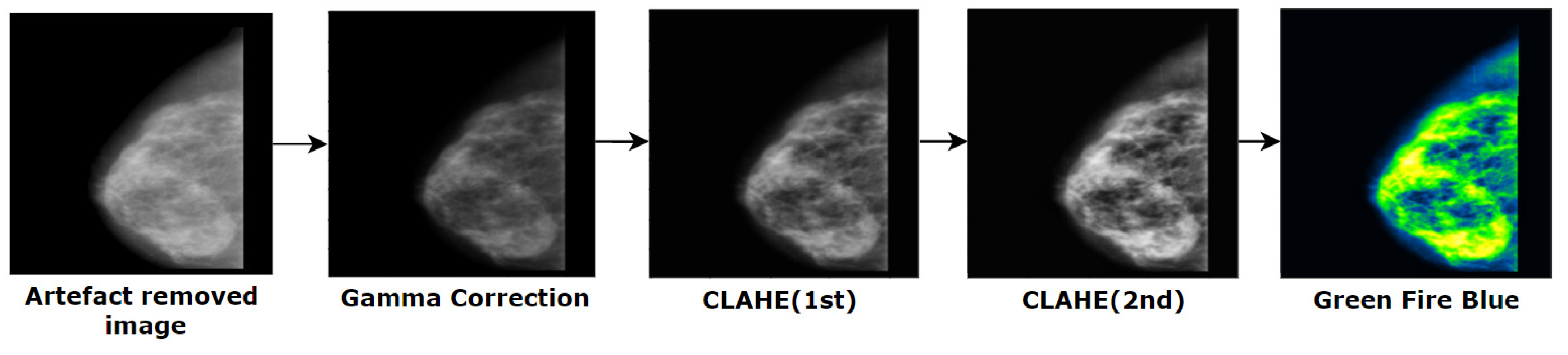 Biology 10 01347 g015