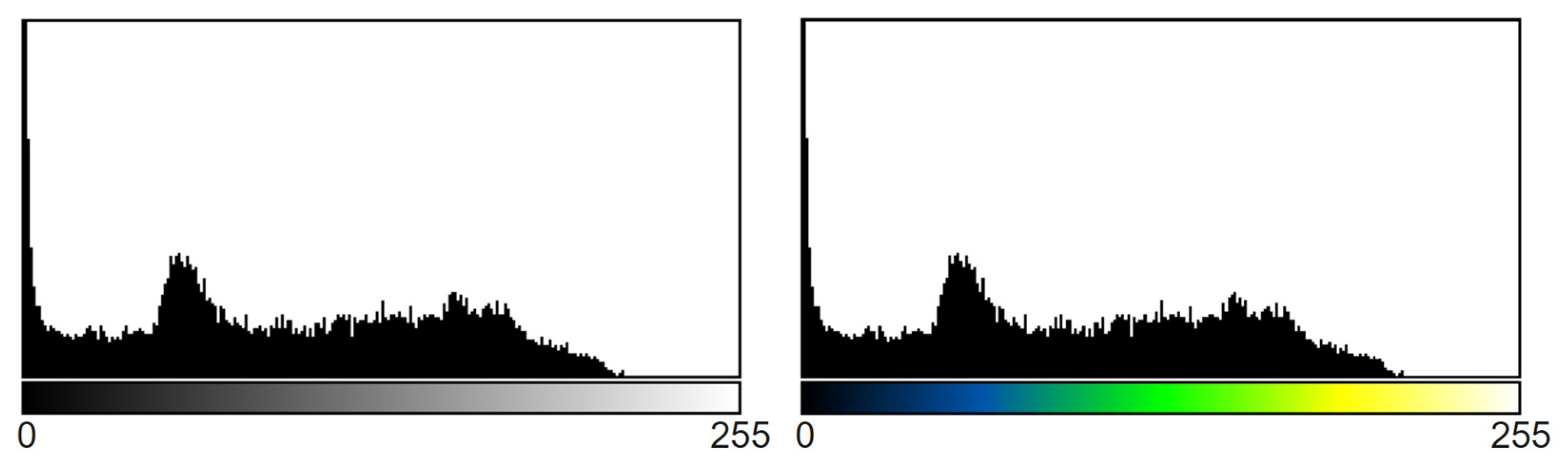 Biology 10 01347 g016