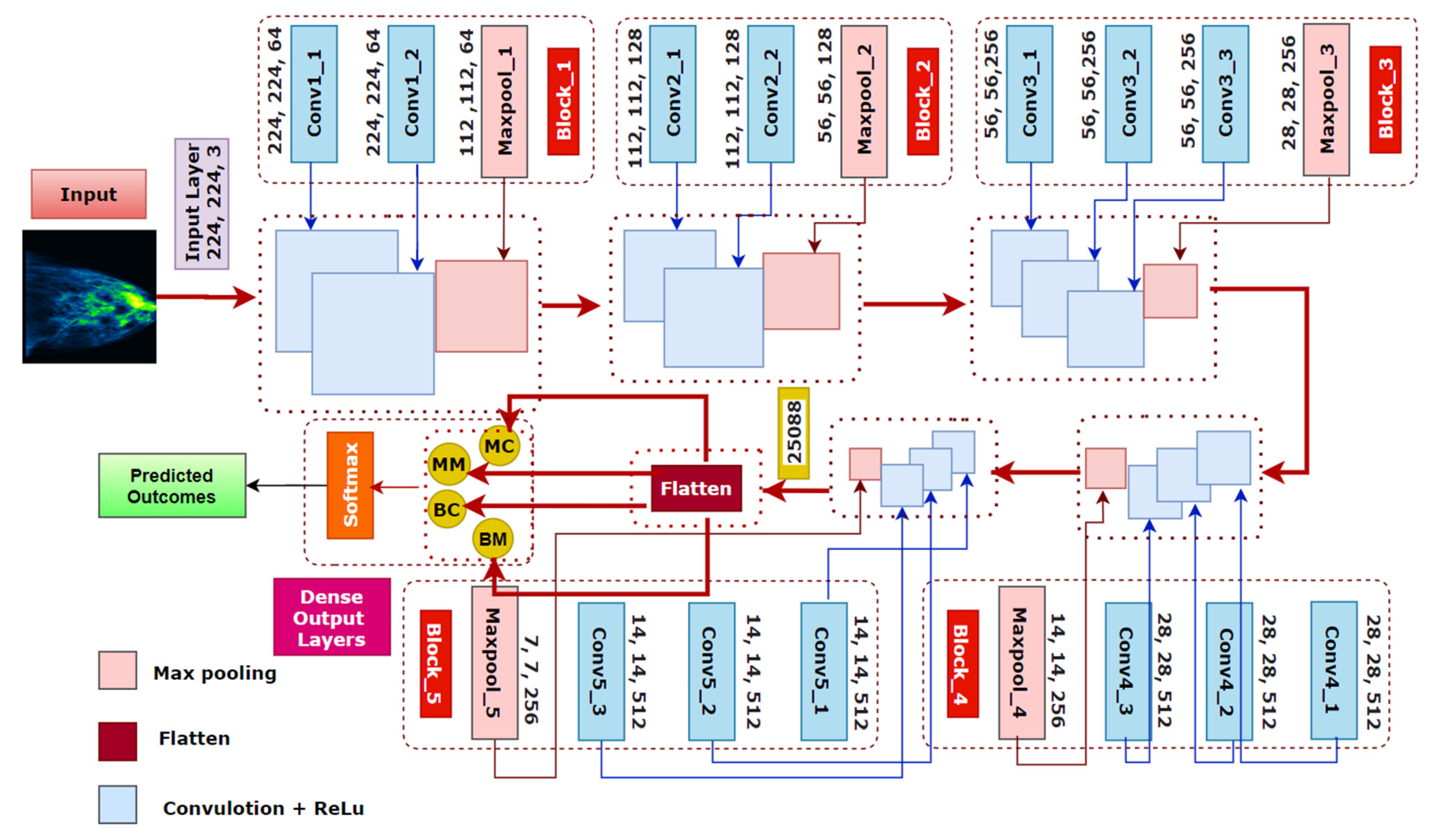 Biology 10 01347 g019