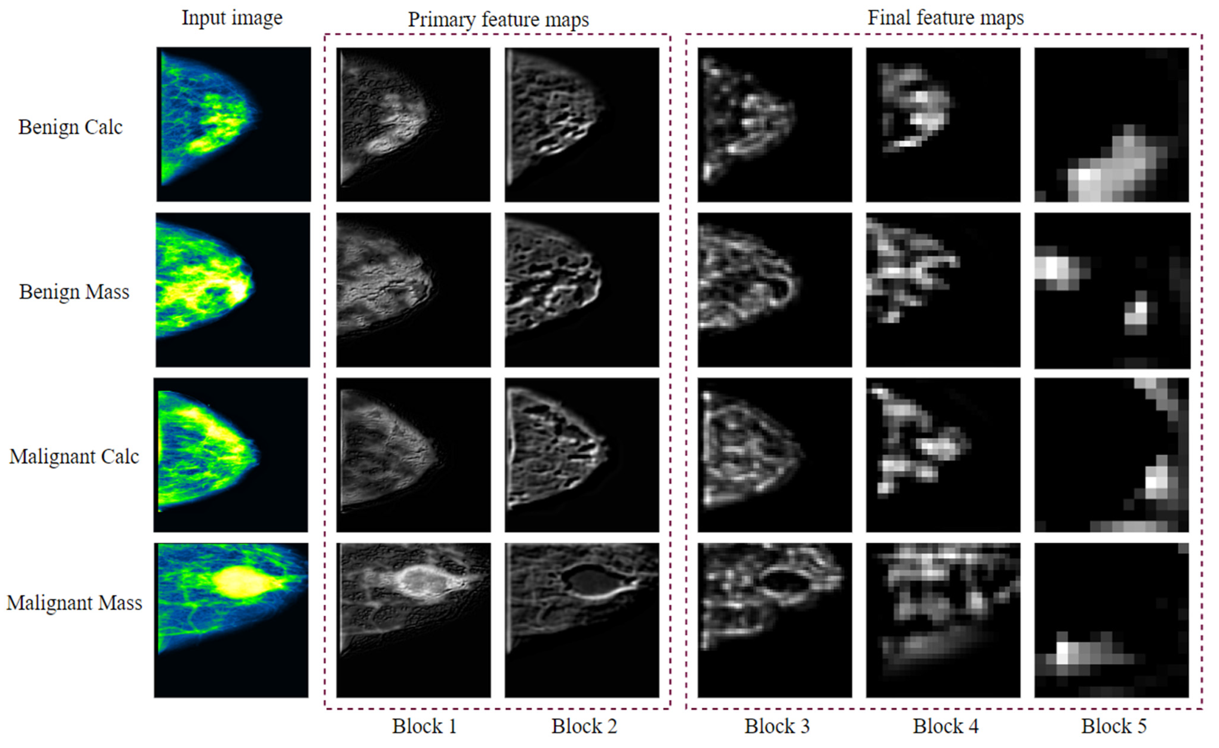 Biology 10 01347 g023