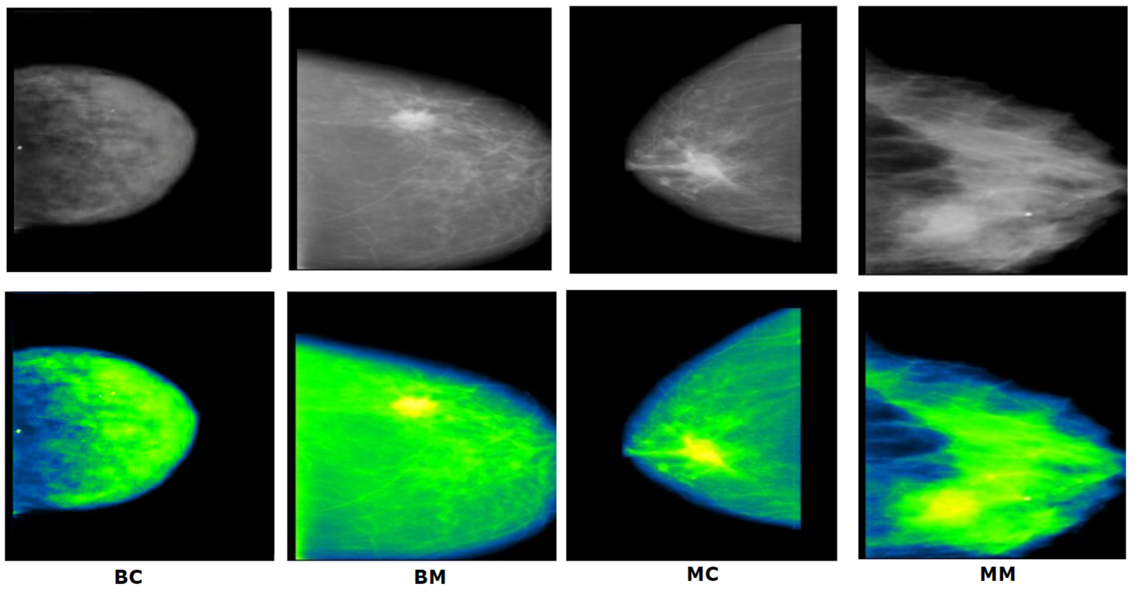 Biology 10 01347 g024