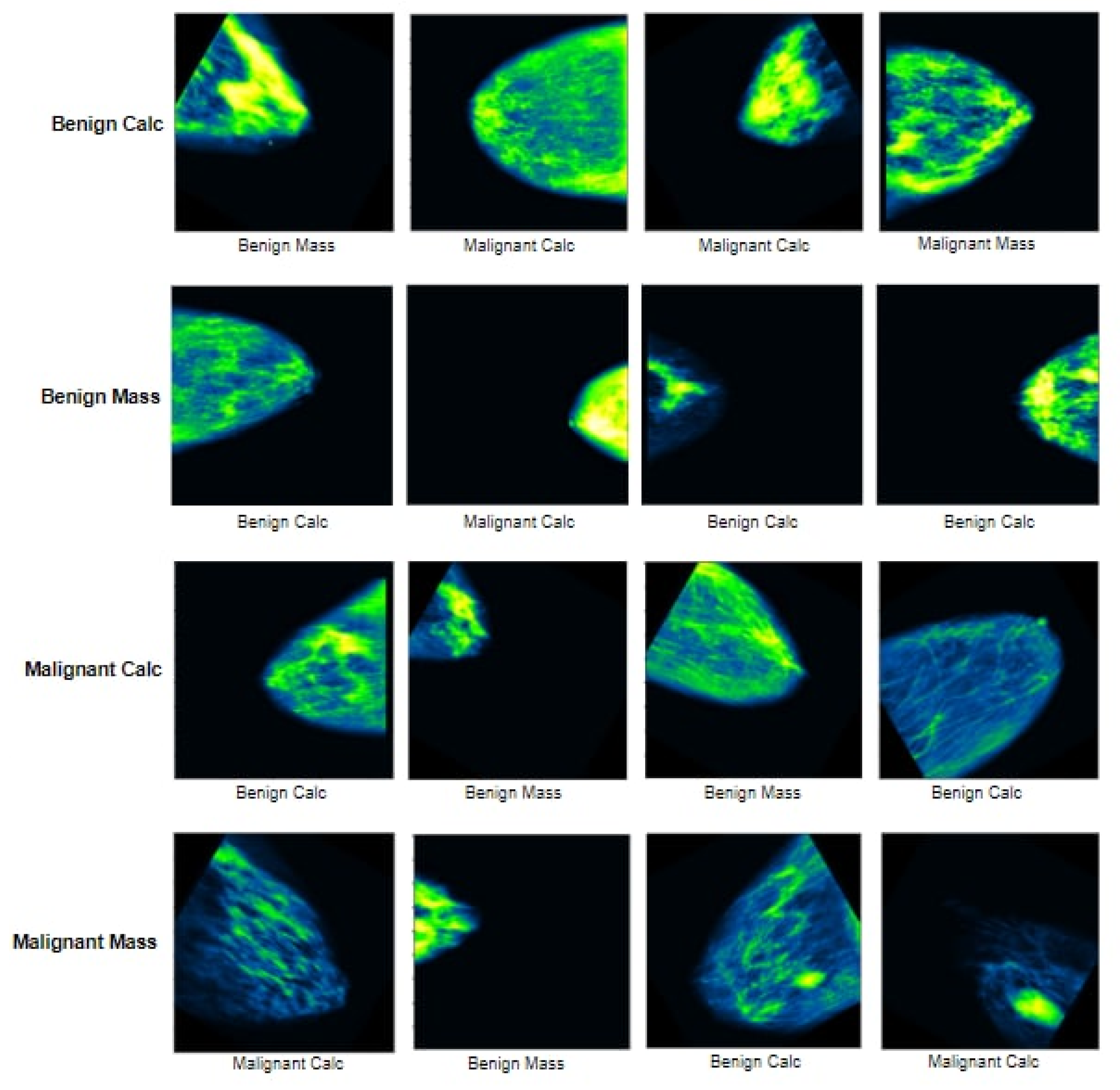 Biology 10 01347 g025