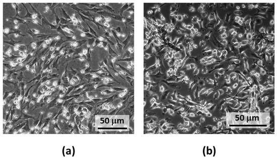 Biology 10 01359 g0a1 550
