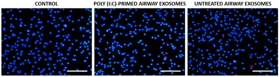 Biology 10 01359 g0a3 550