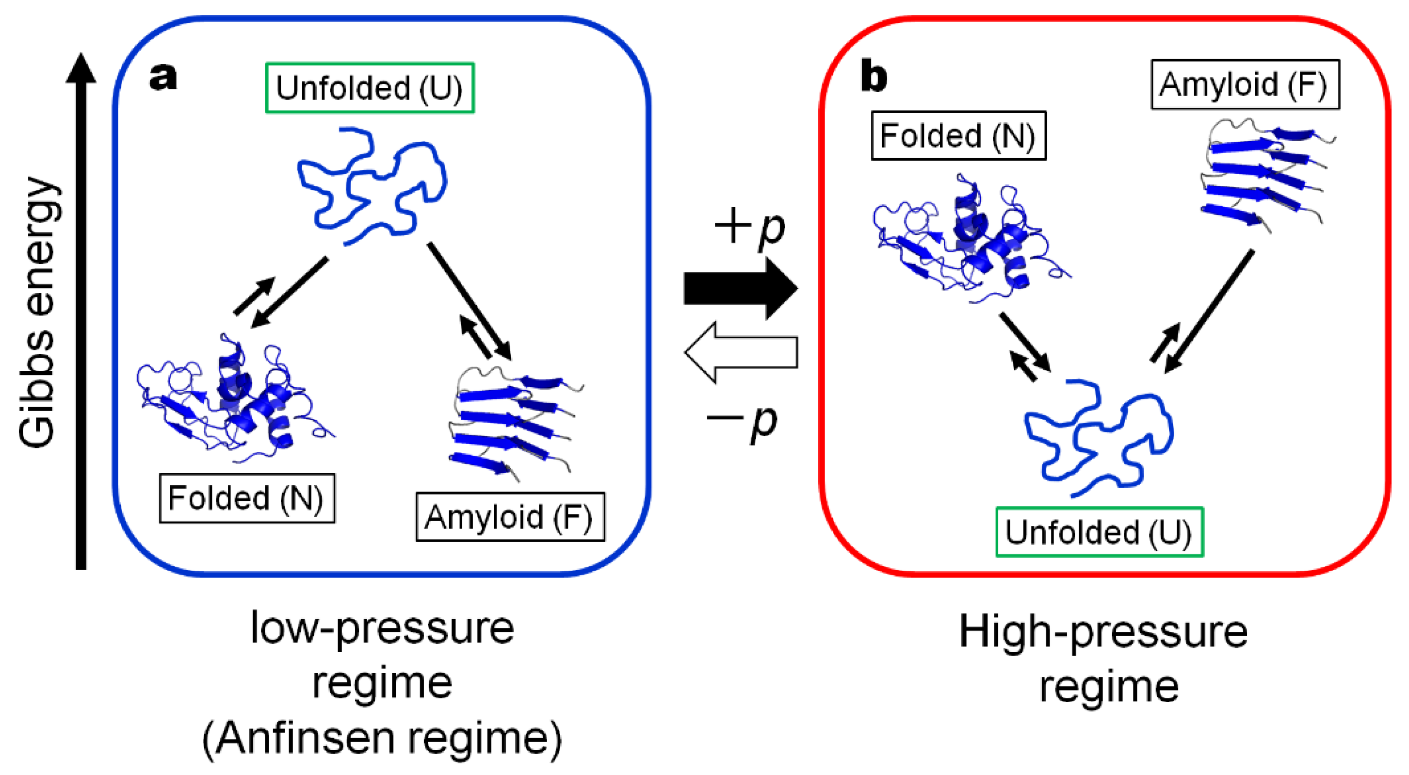 Biology 11 00006 g001
