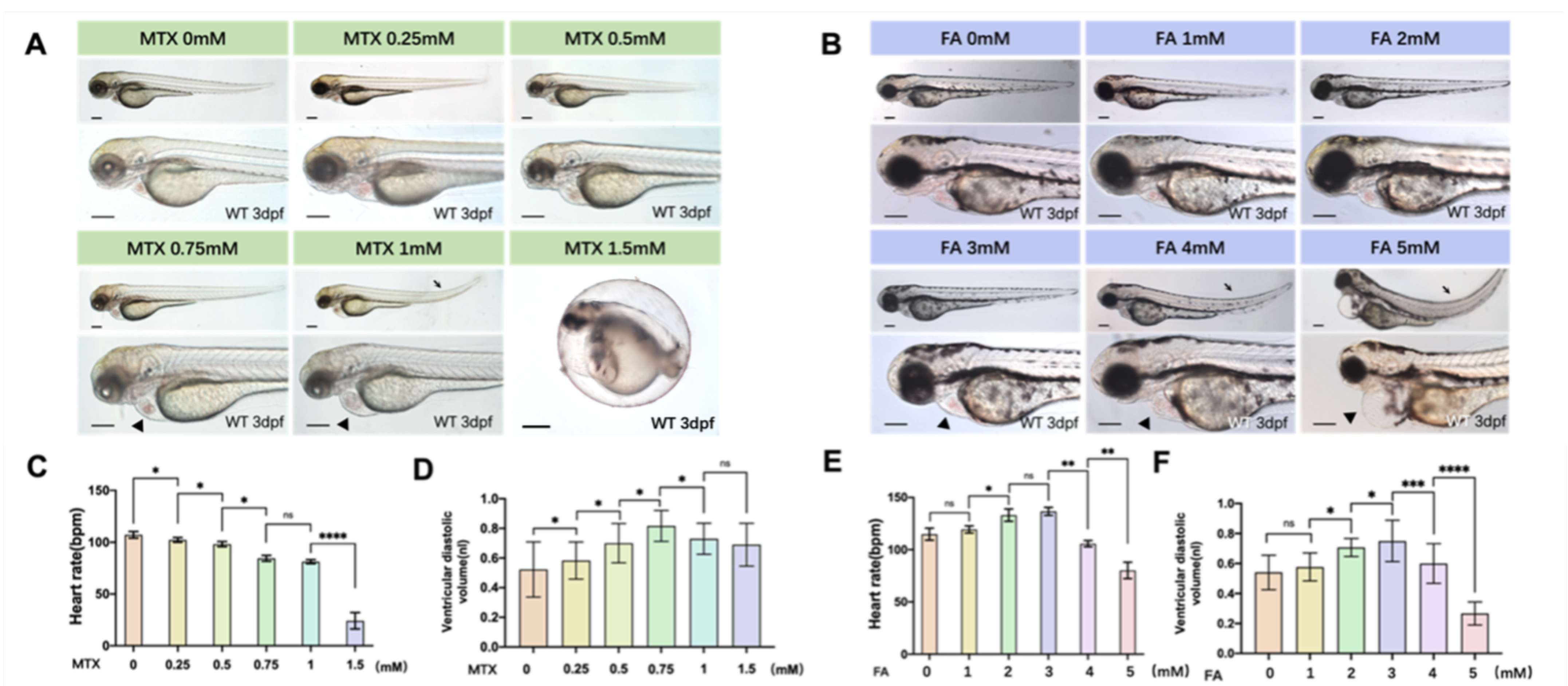 Biology 11 00028 g001