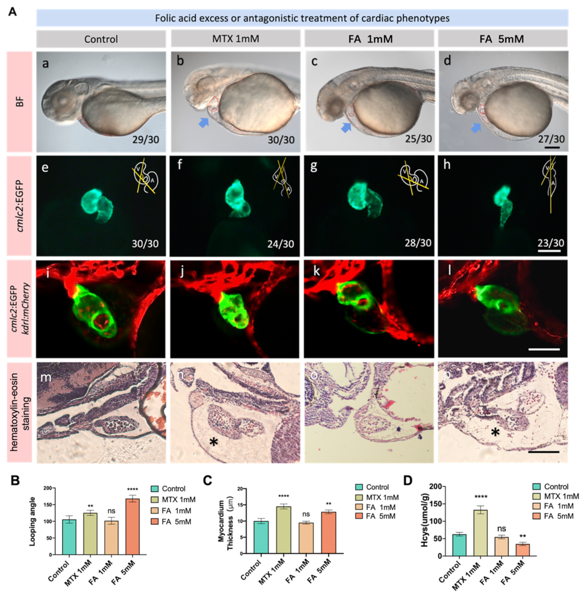 Biology 11 00028 g002