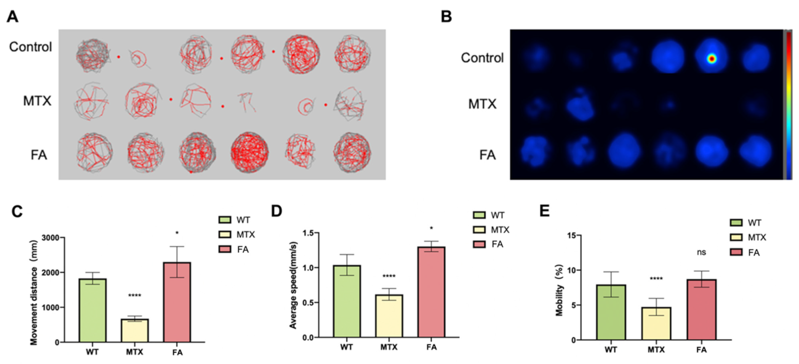 Biology 11 00028 g003