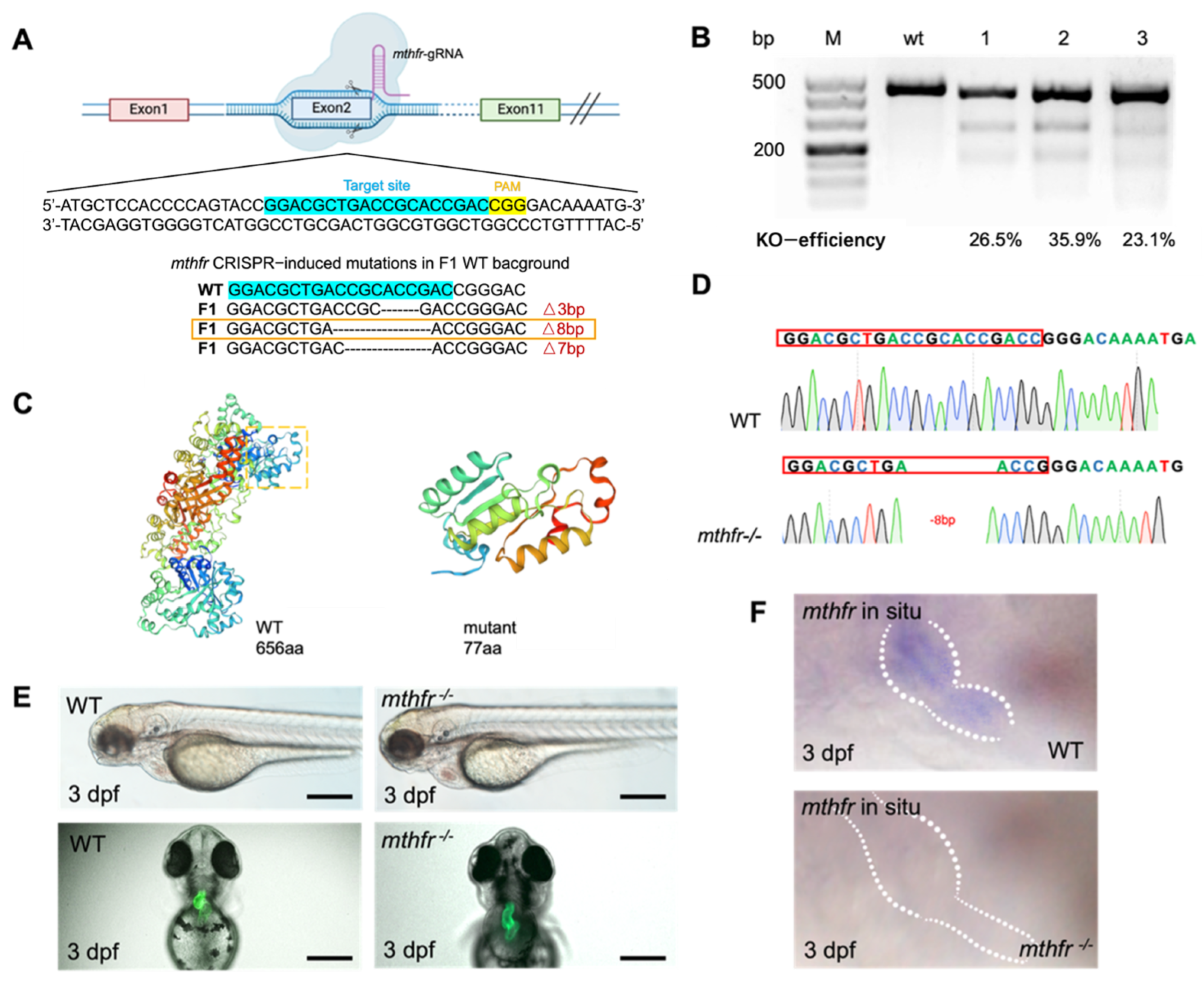 Biology 11 00028 g004