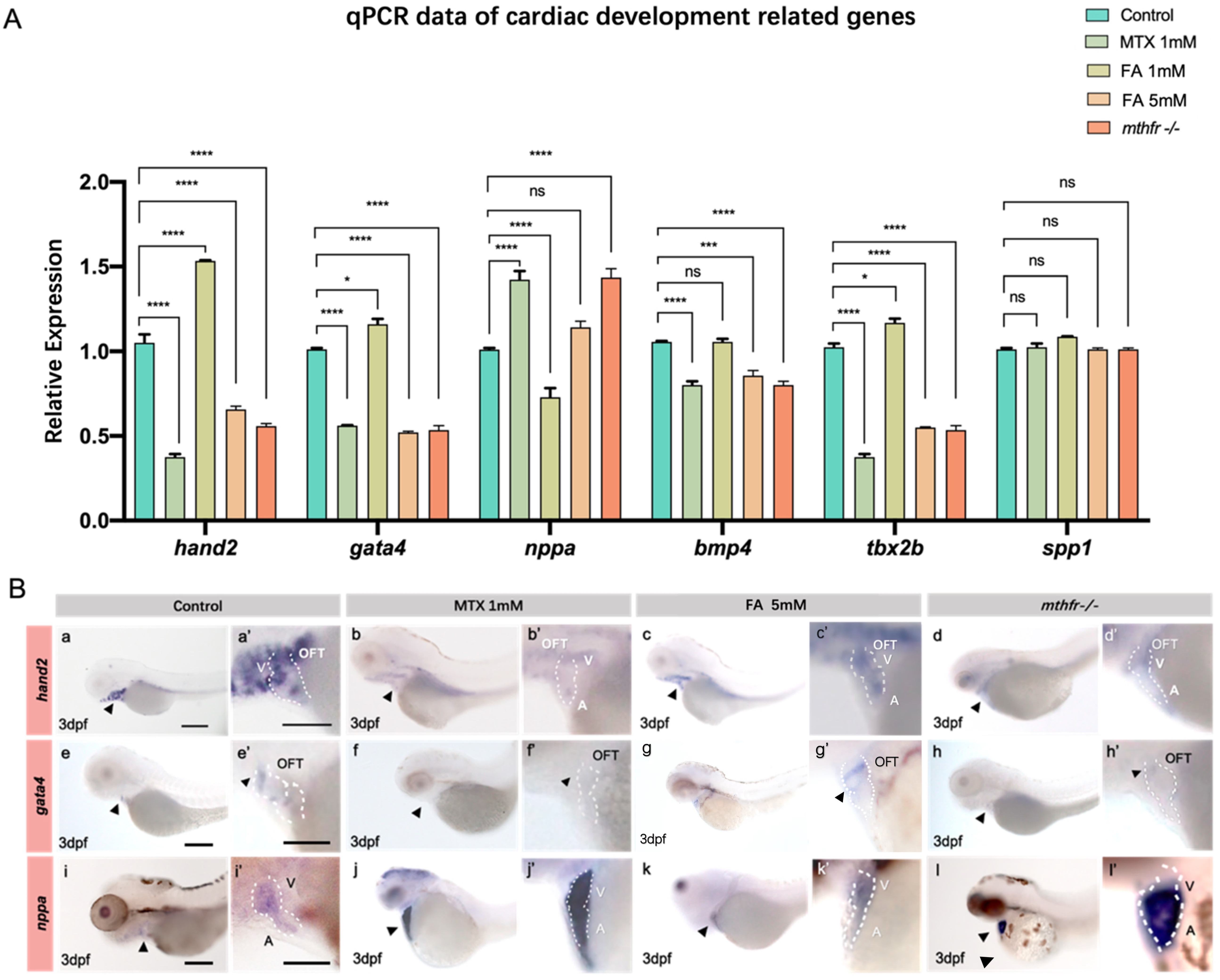 Biology 11 00028 g005