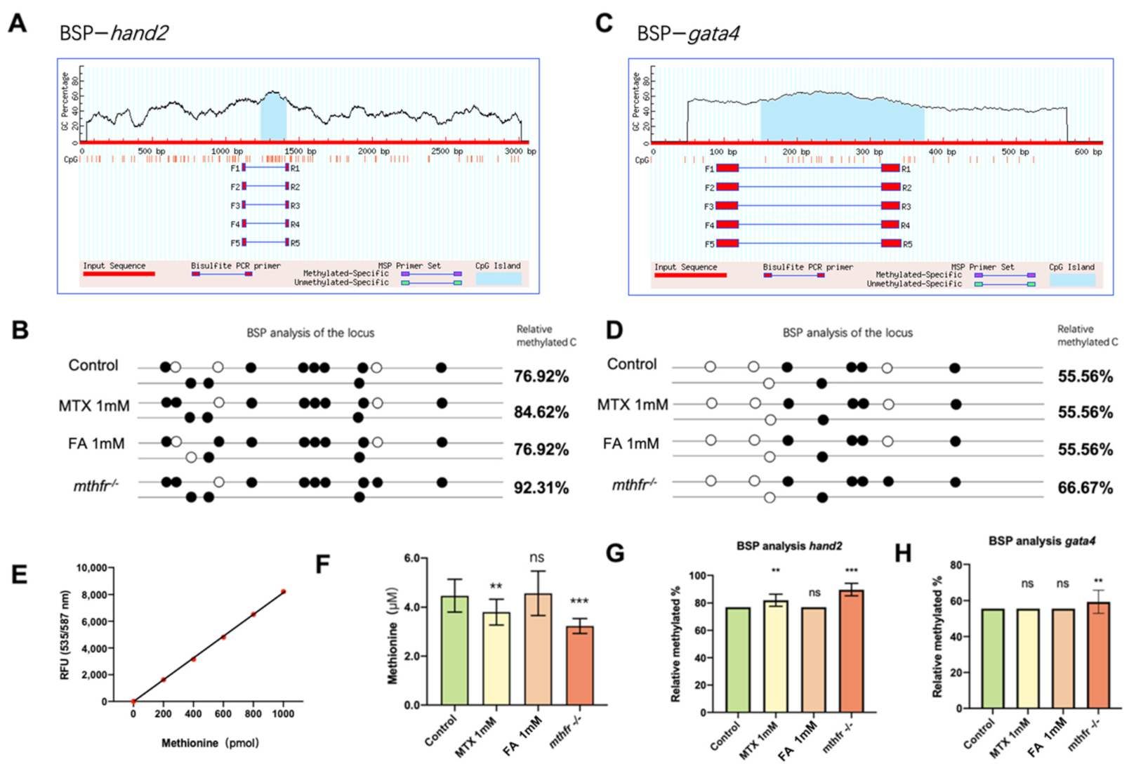 Biology 11 00028 g006
