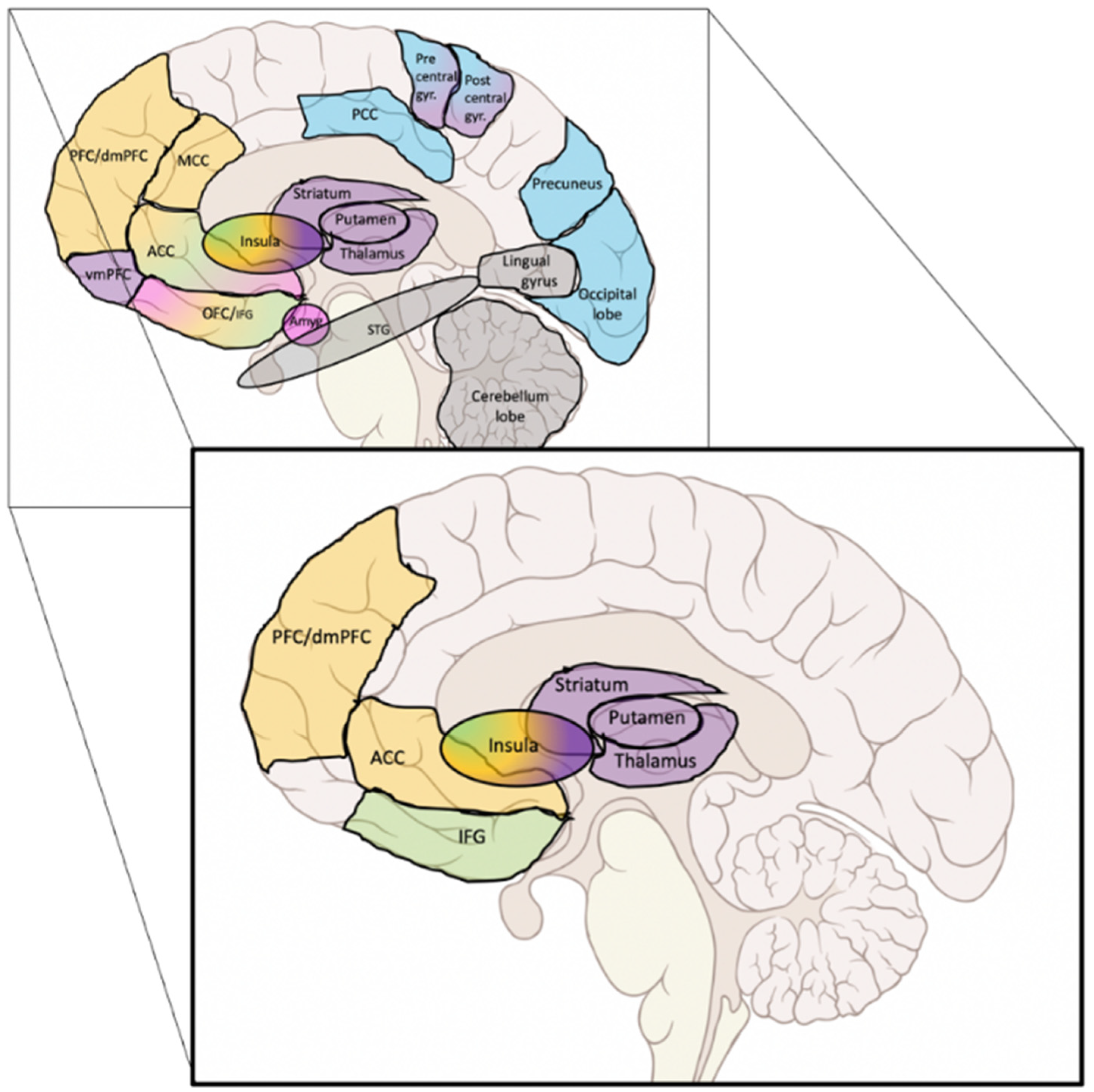 Biology 11 00035 g003