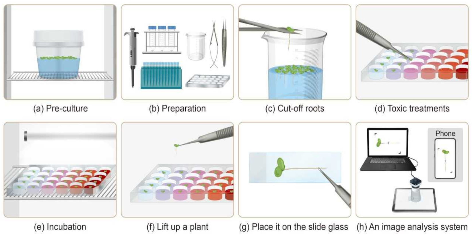 Biology 11 00037 g002