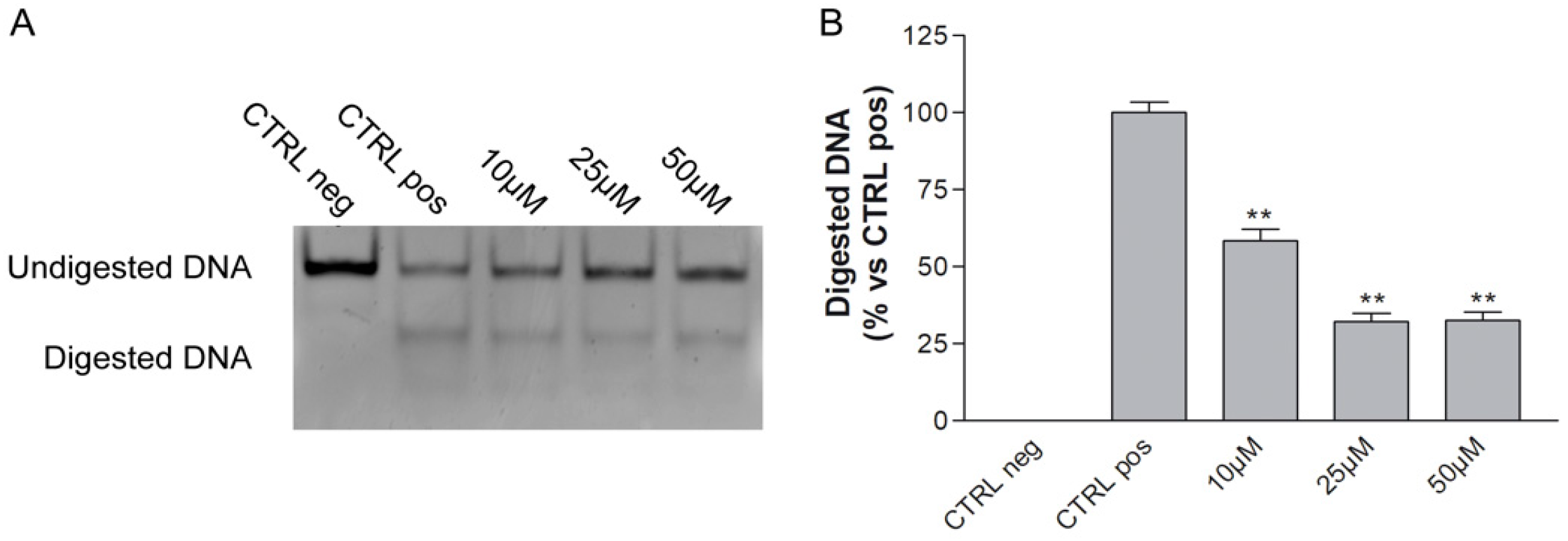 Biology 11 00070 g003