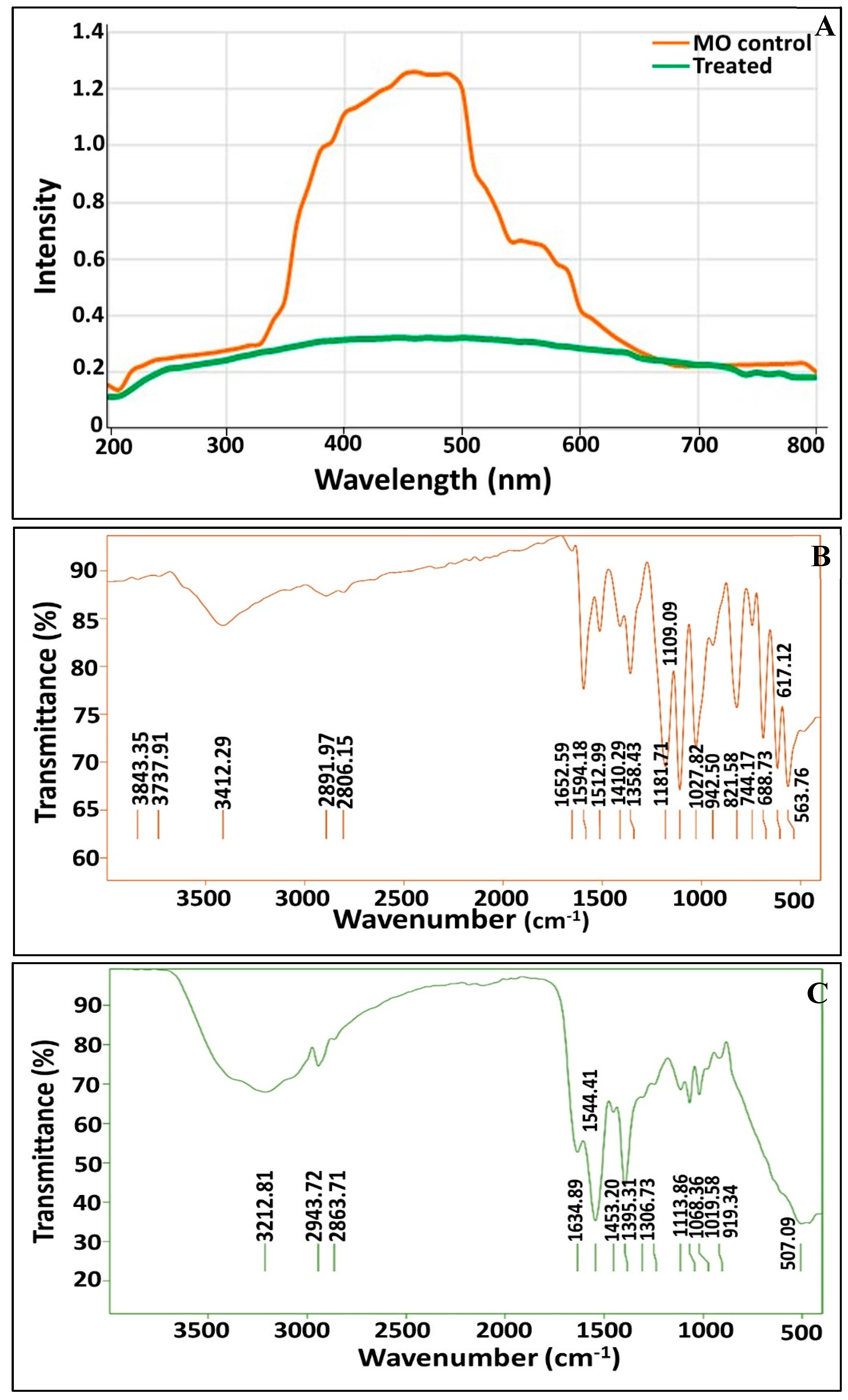 Biology 11 00076 g004