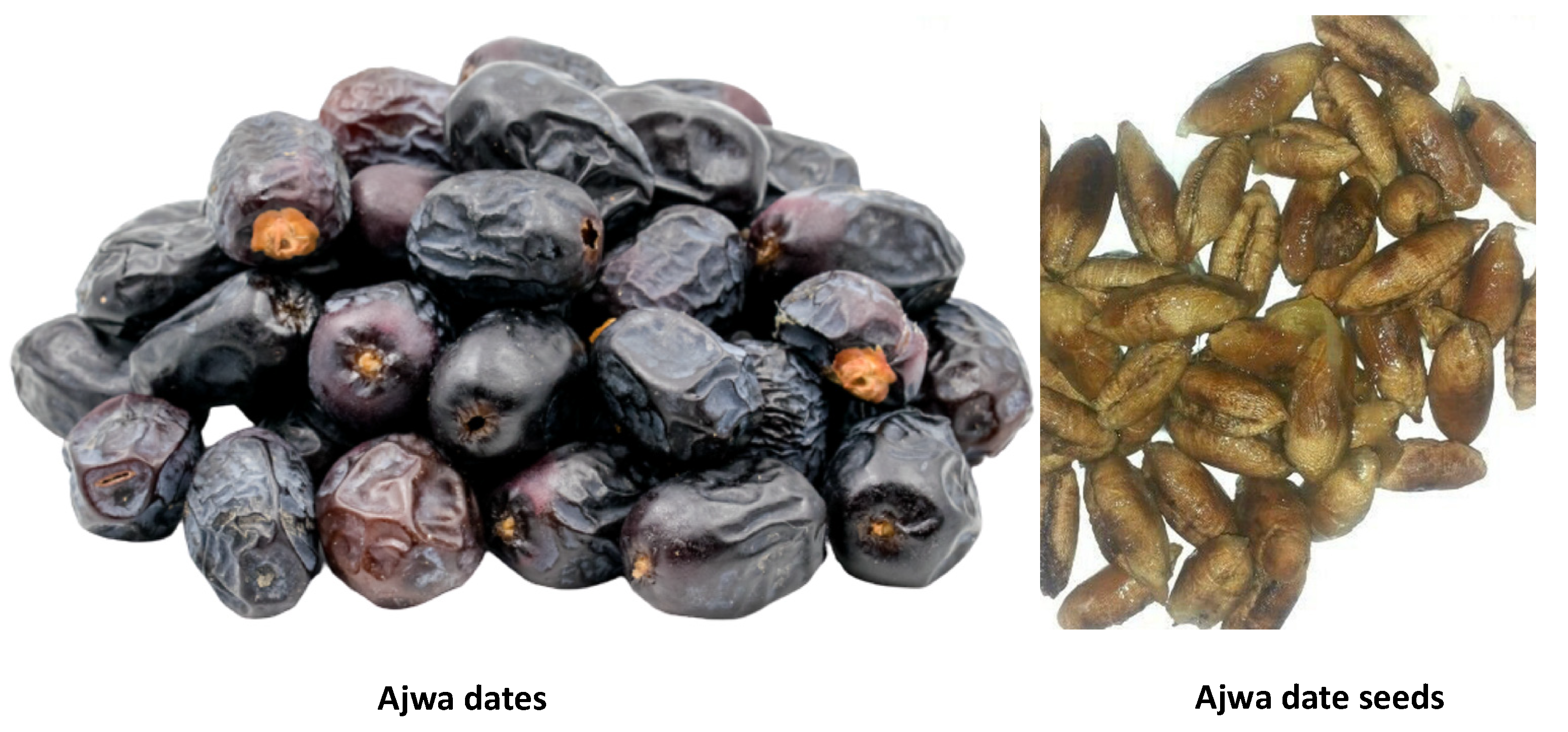 Biology 11 00078 g001