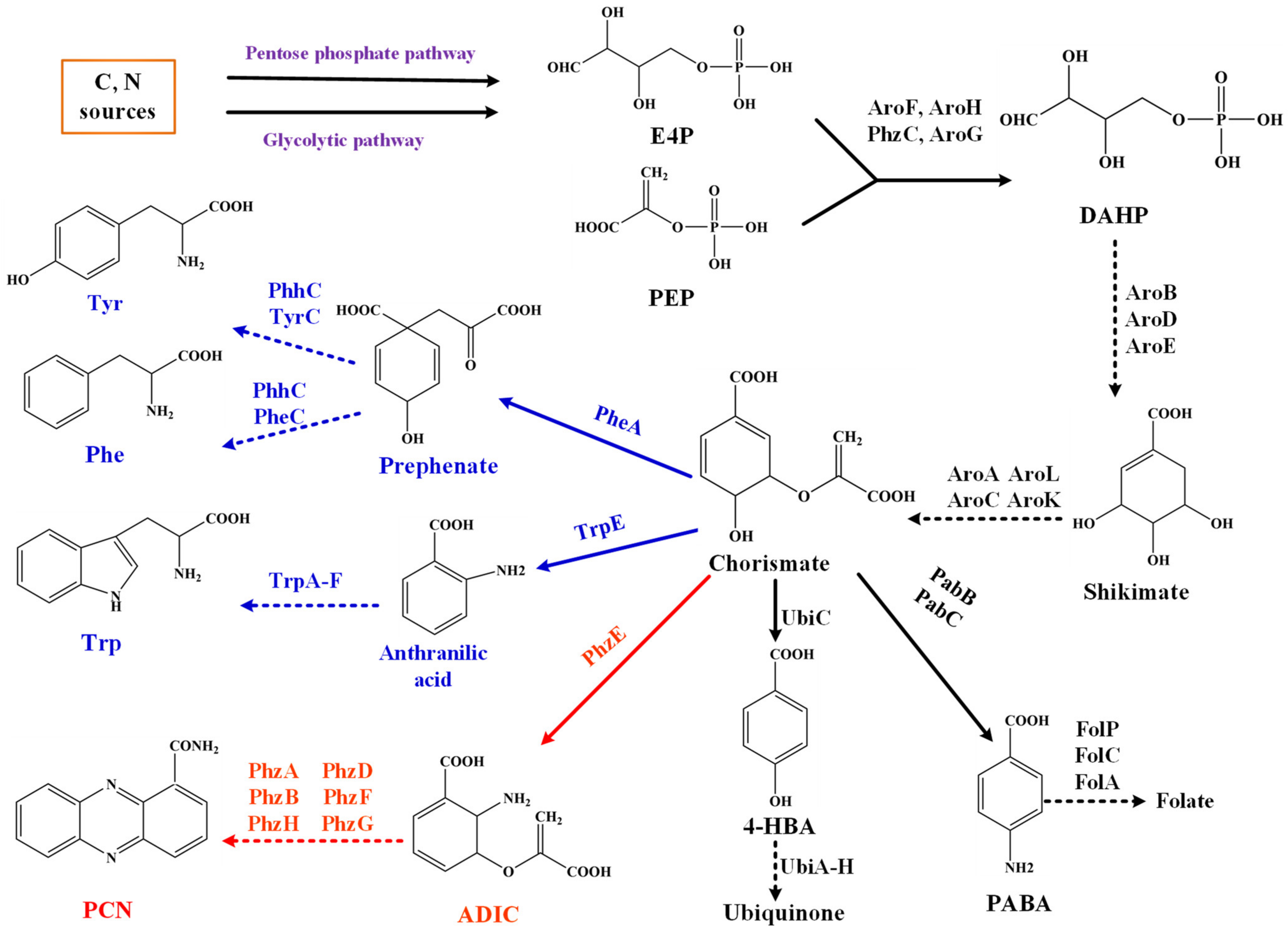 Biology 11 00086 g001