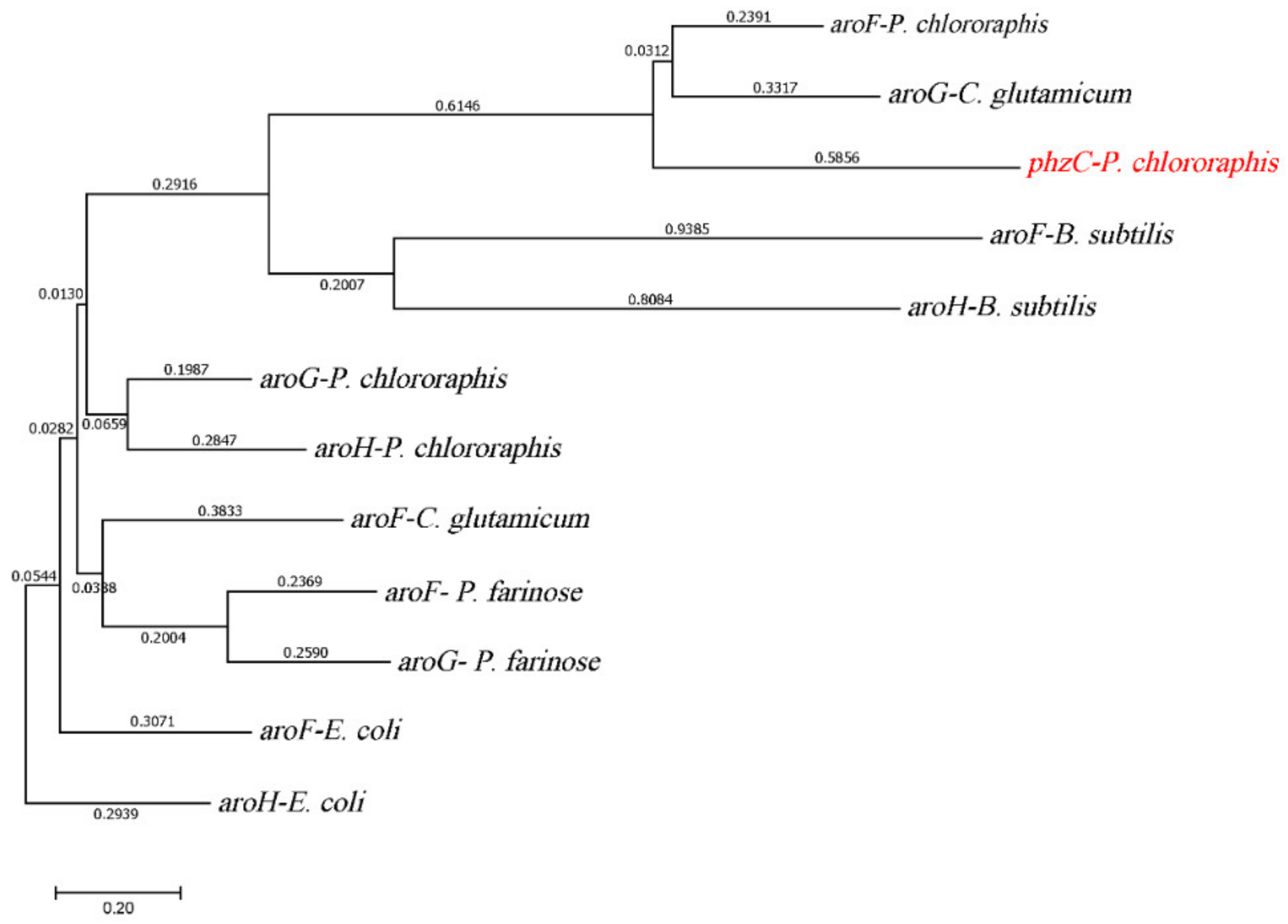 Biology 11 00086 g002