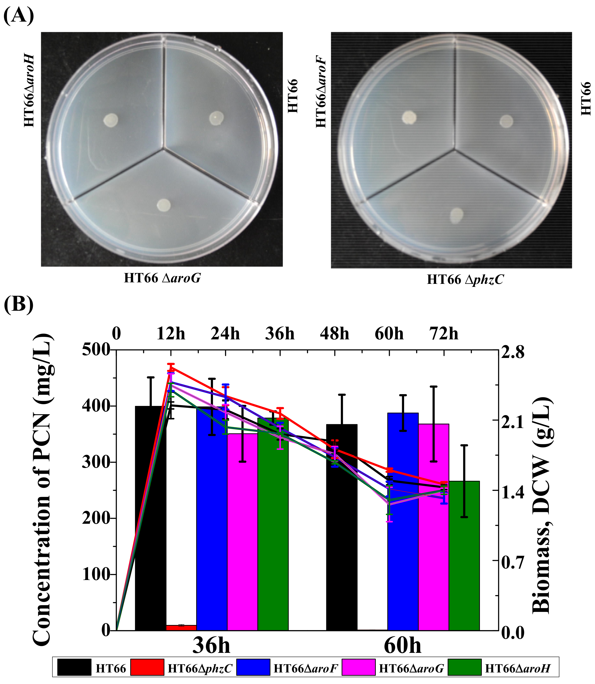 Biology 11 00086 g008