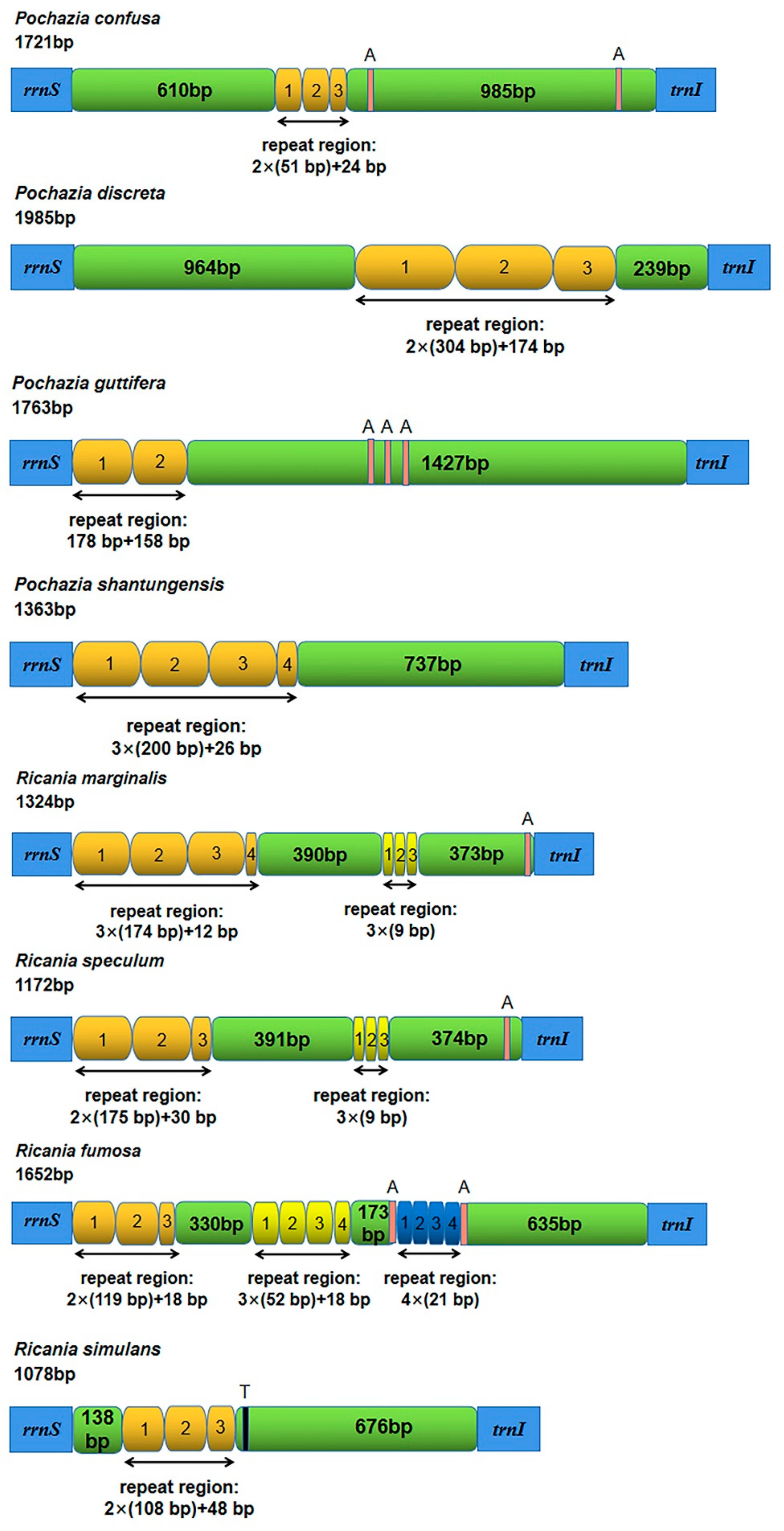 Biology 11 00092 g004