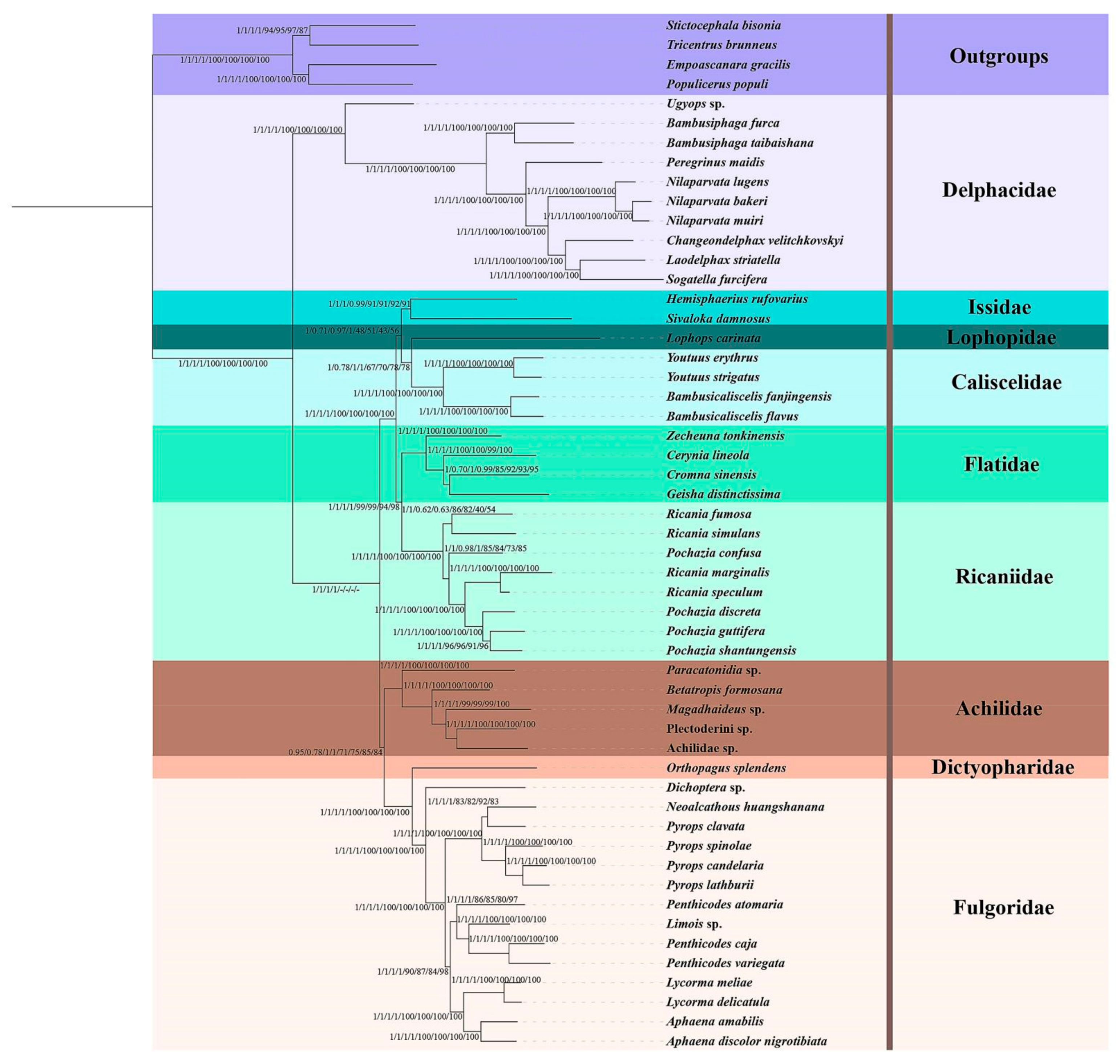 Biology 11 00092 g008