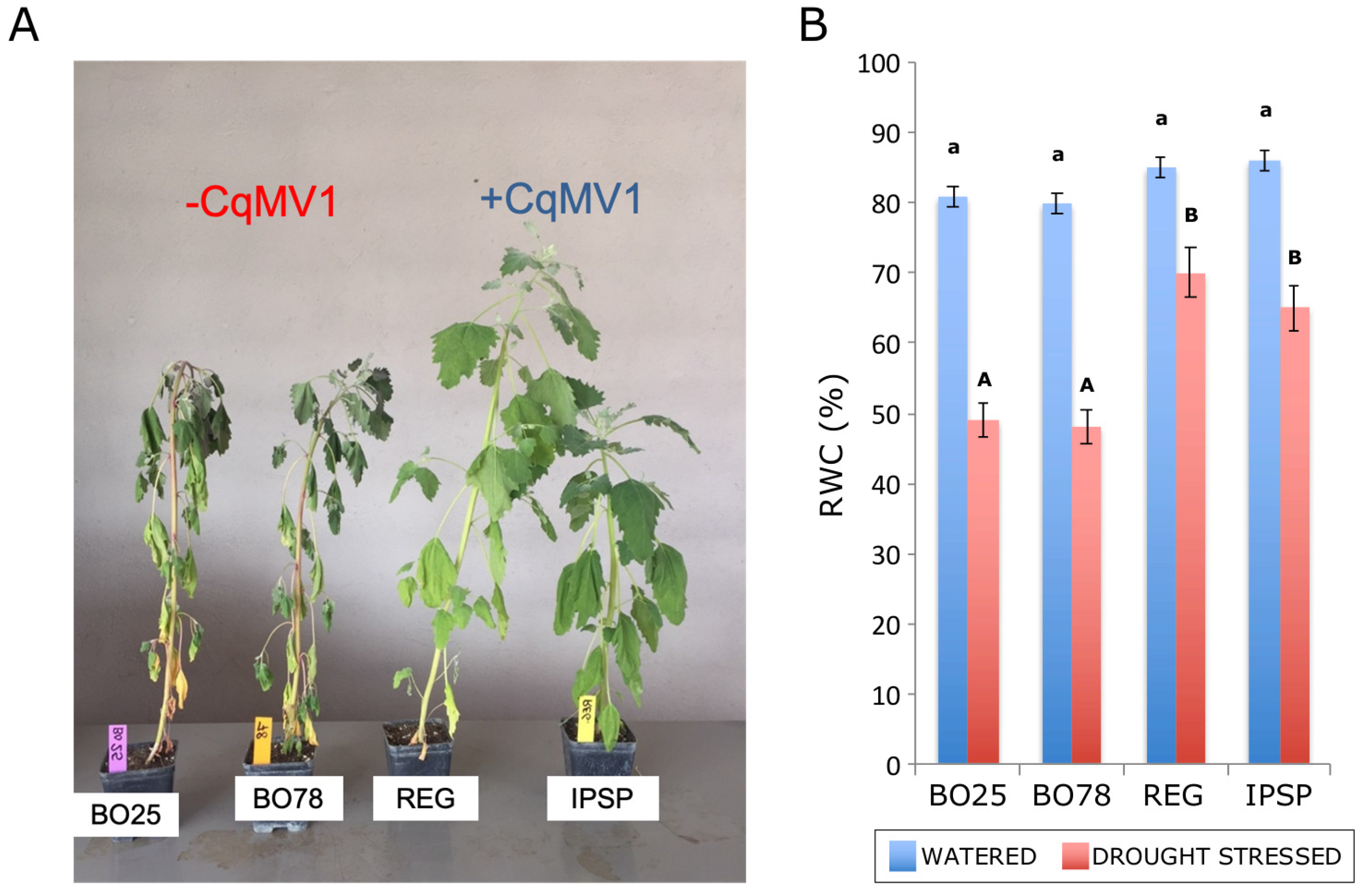 Biology 11 00095 g006