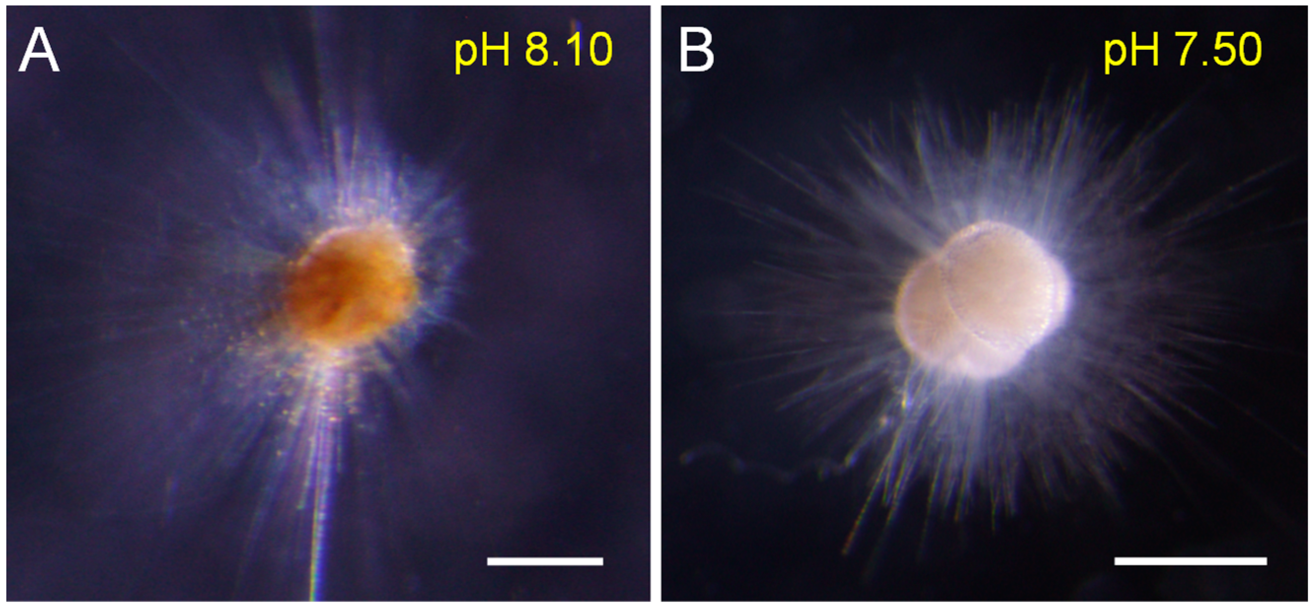 Biology 11 00098 g002