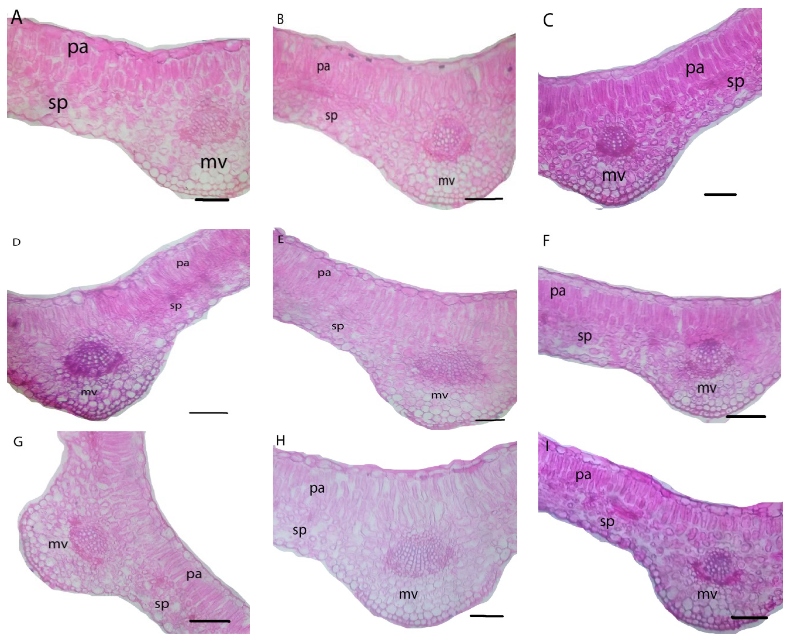 Biology 11 00115 g004 Biology 11 00115 g004