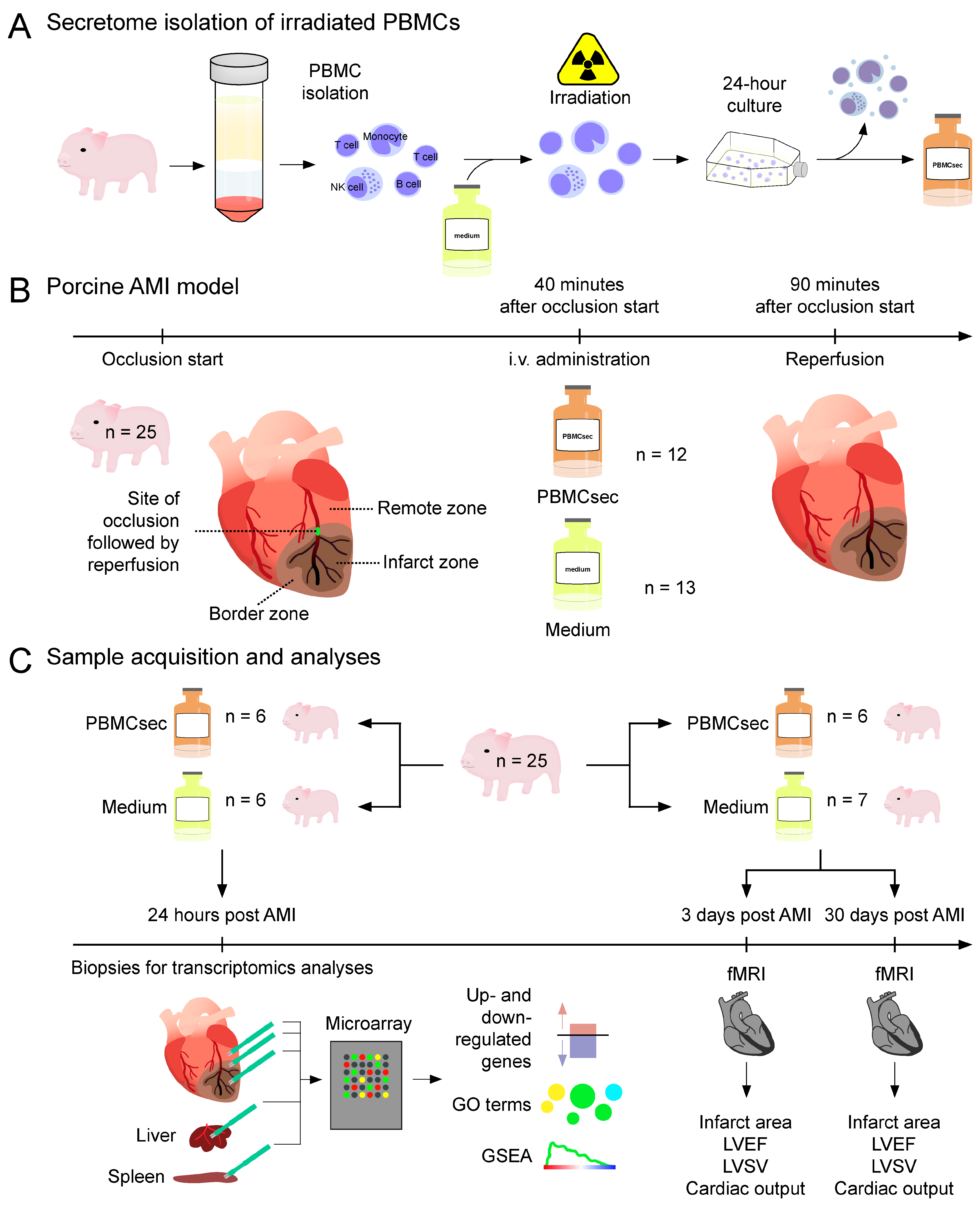 Biology 11 00116 g001 Biology 11 00116 g001