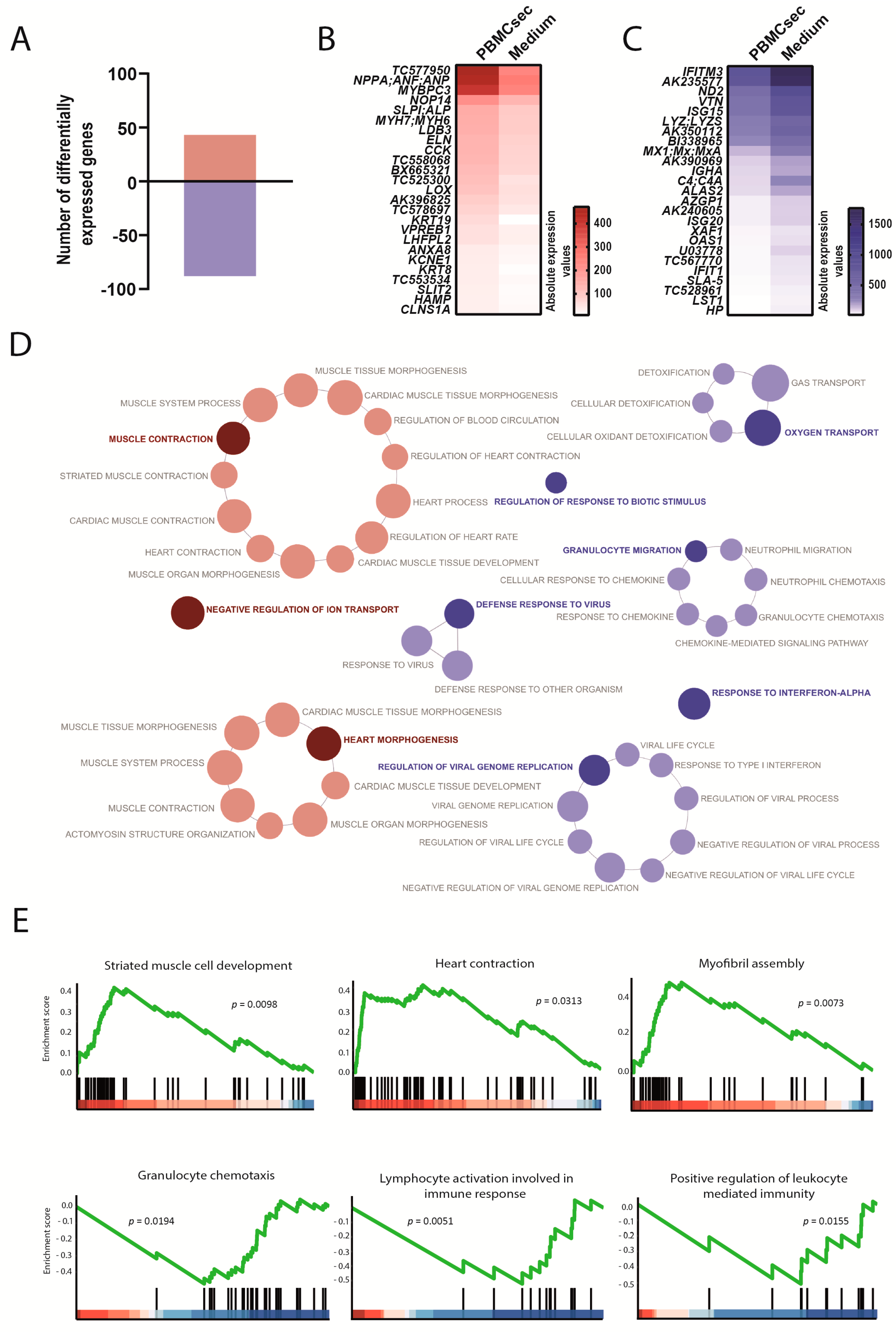Biology 11 00116 g003 Biology 11 00116 g003
