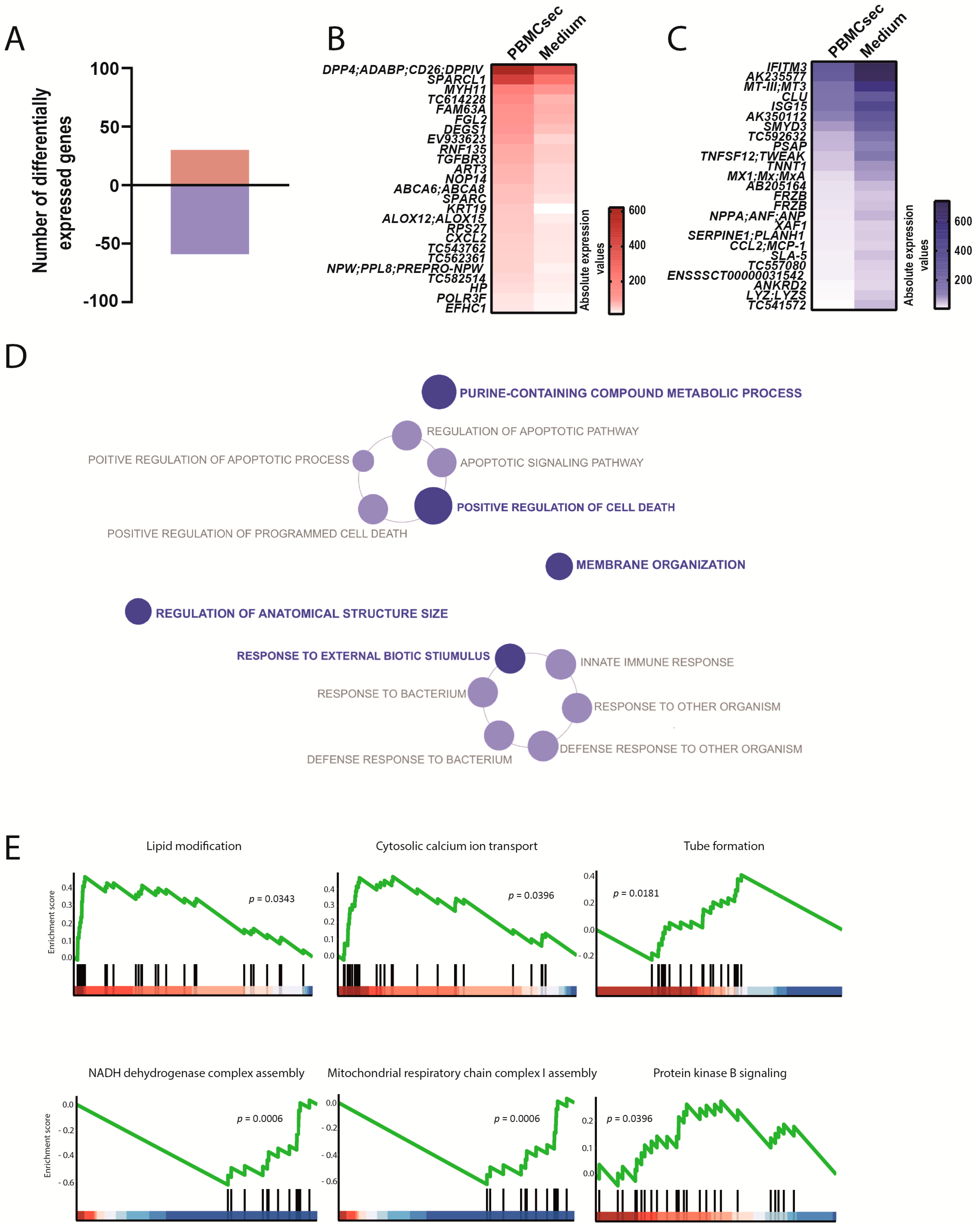 Biology 11 00116 g005 Biology 11 00116 g005