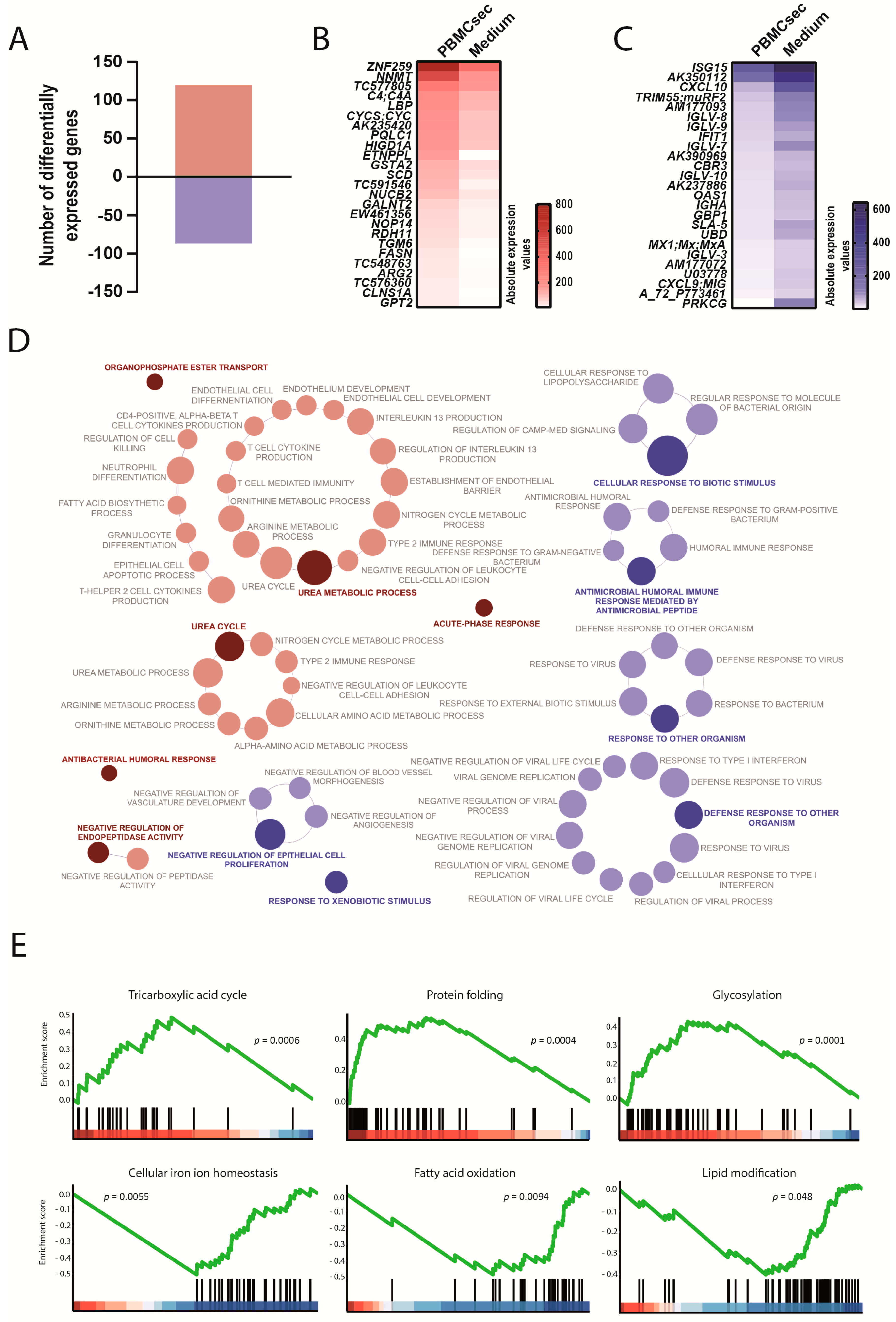 Biology 11 00116 g006 Biology 11 00116 g006