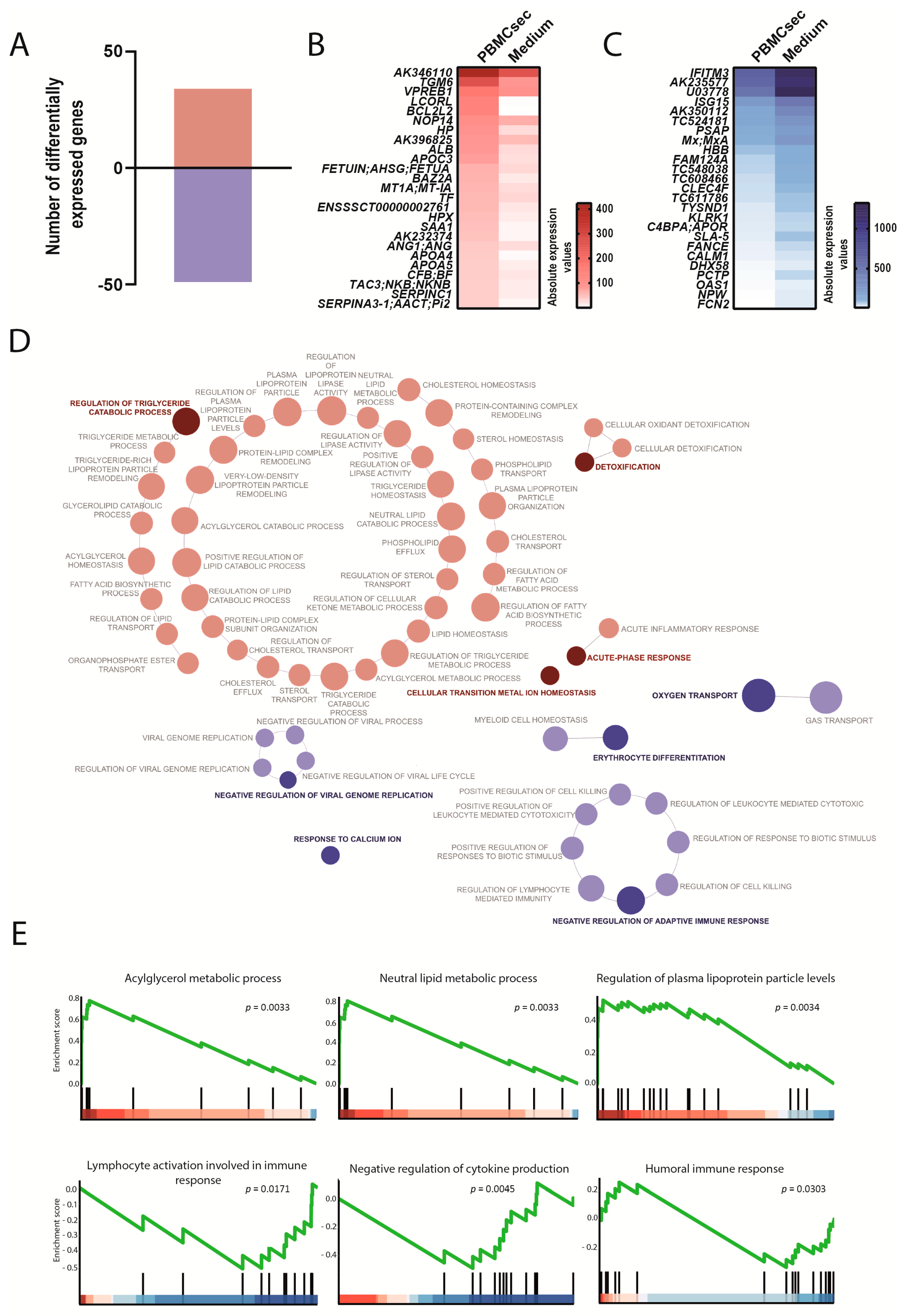 Biology 11 00116 g007 Biology 11 00116 g007