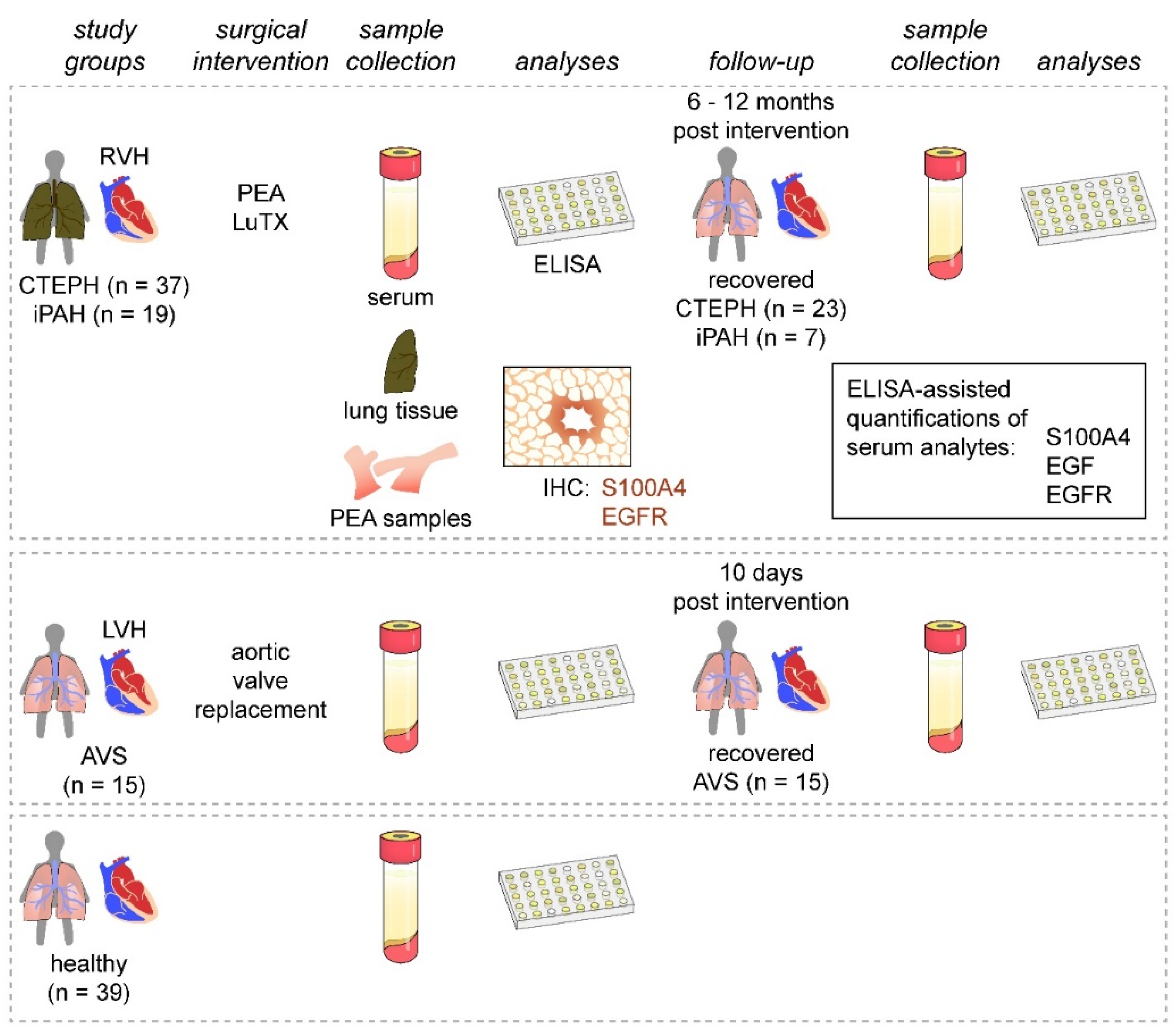 Biology 11 00118 g001