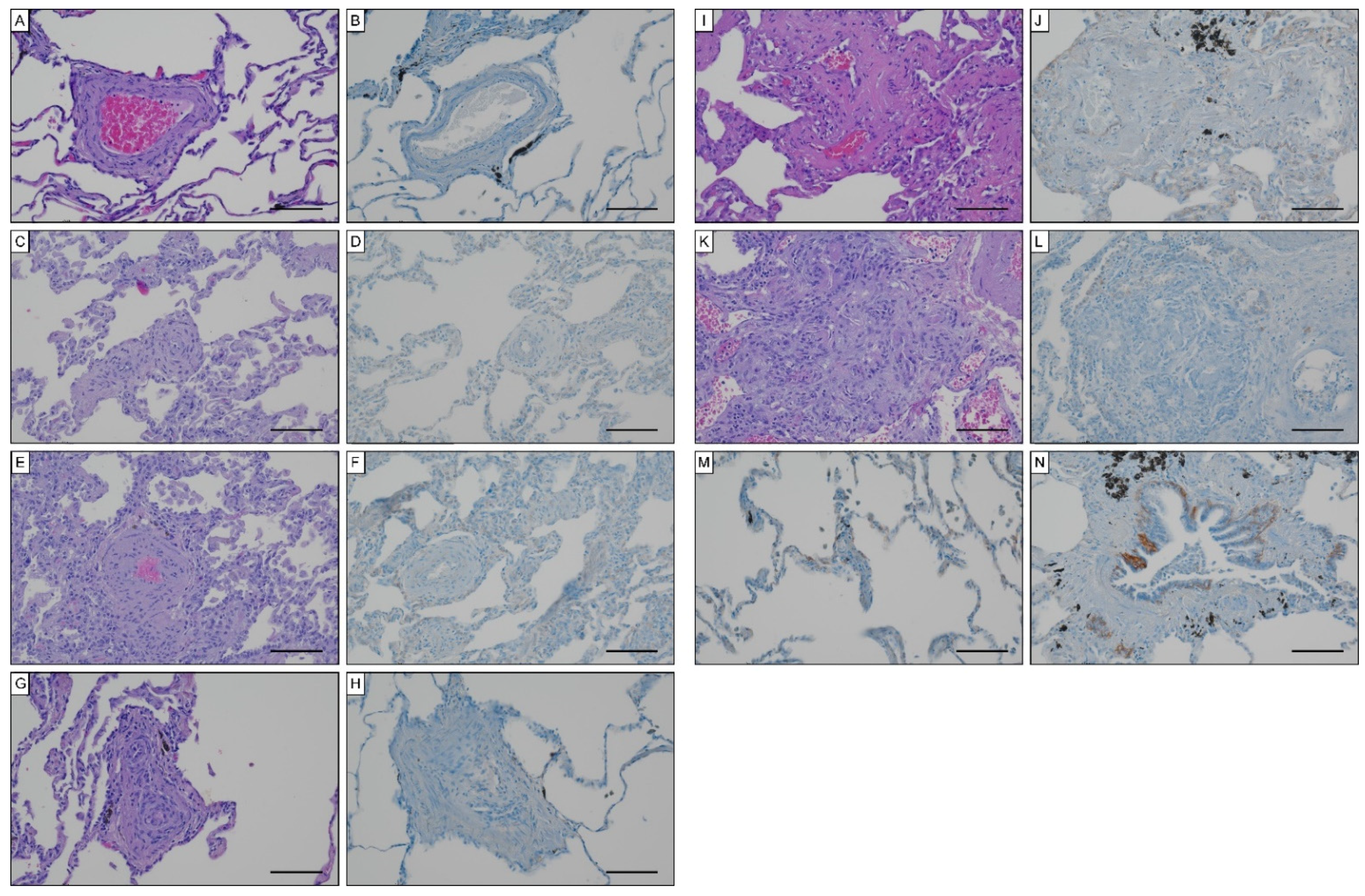 Biology 11 00118 g007